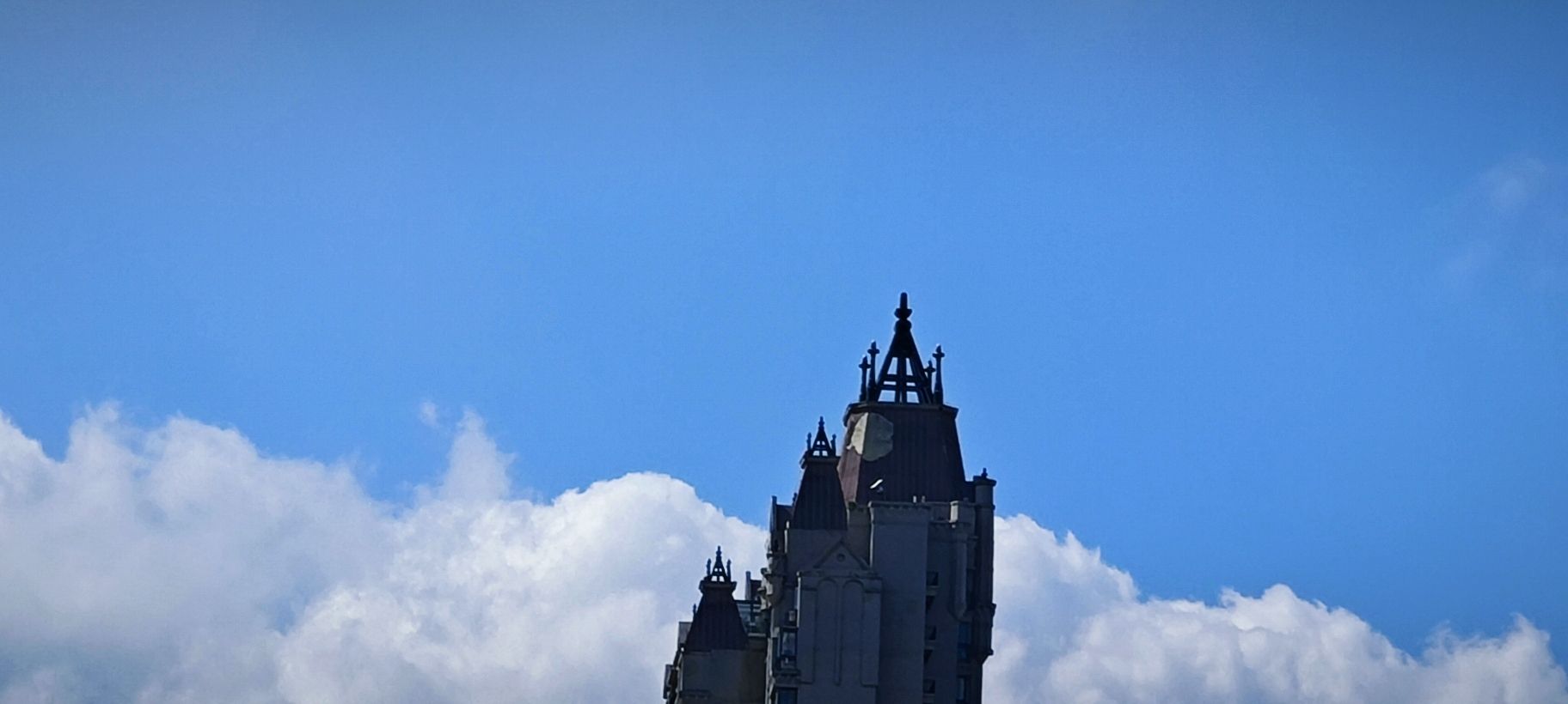 城南湿地公园旅行图片