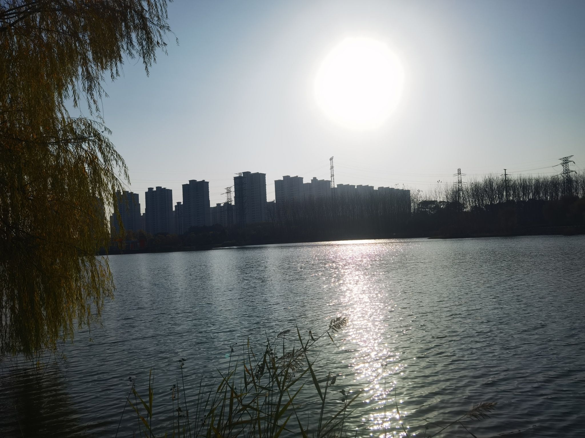 城南湿地公园旅行图片