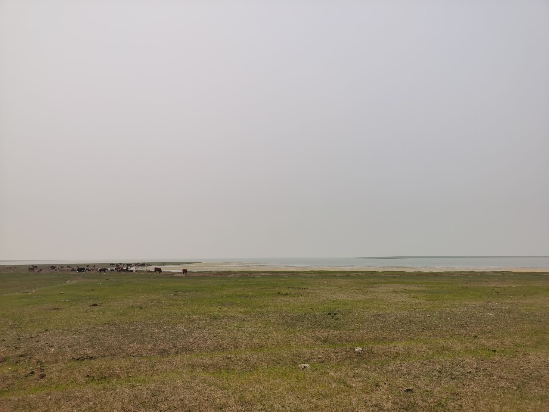 爱琴岛