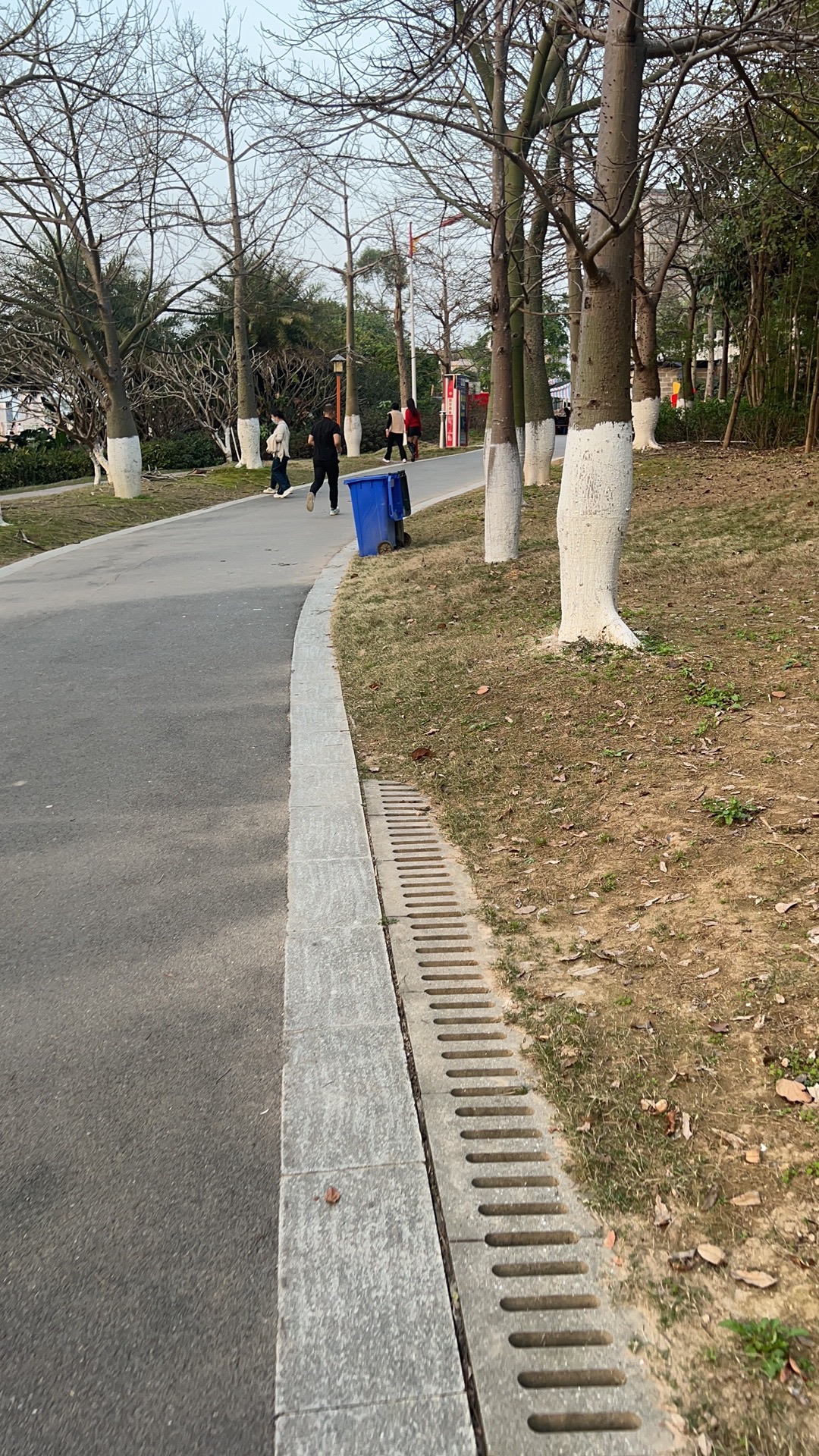 江滨公园旅行图片