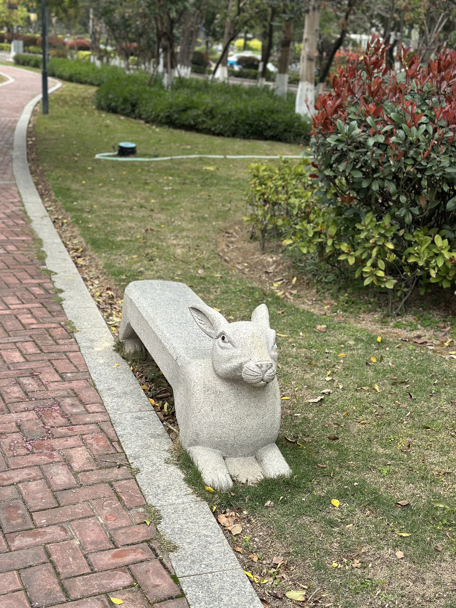 莲花公园