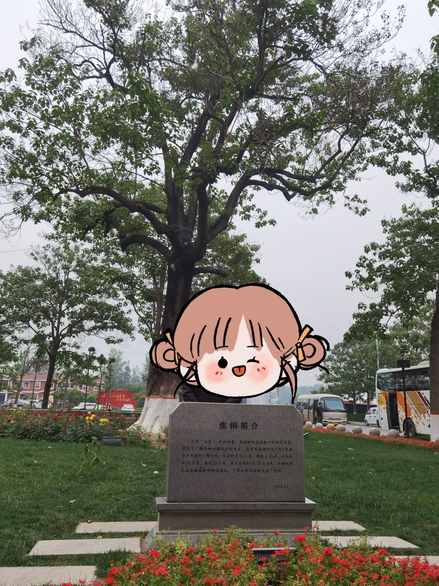 焦桐广场