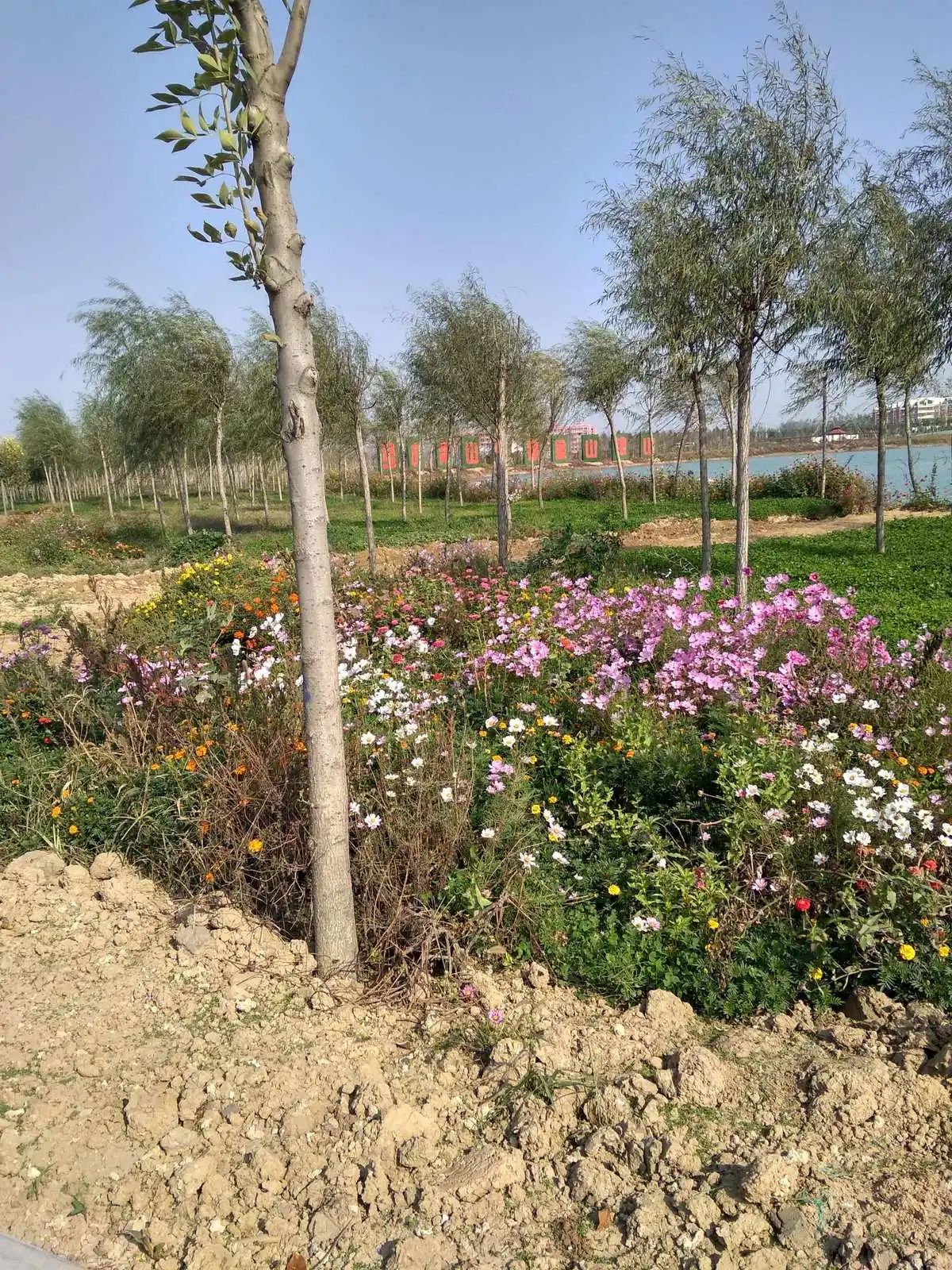 项城植物园