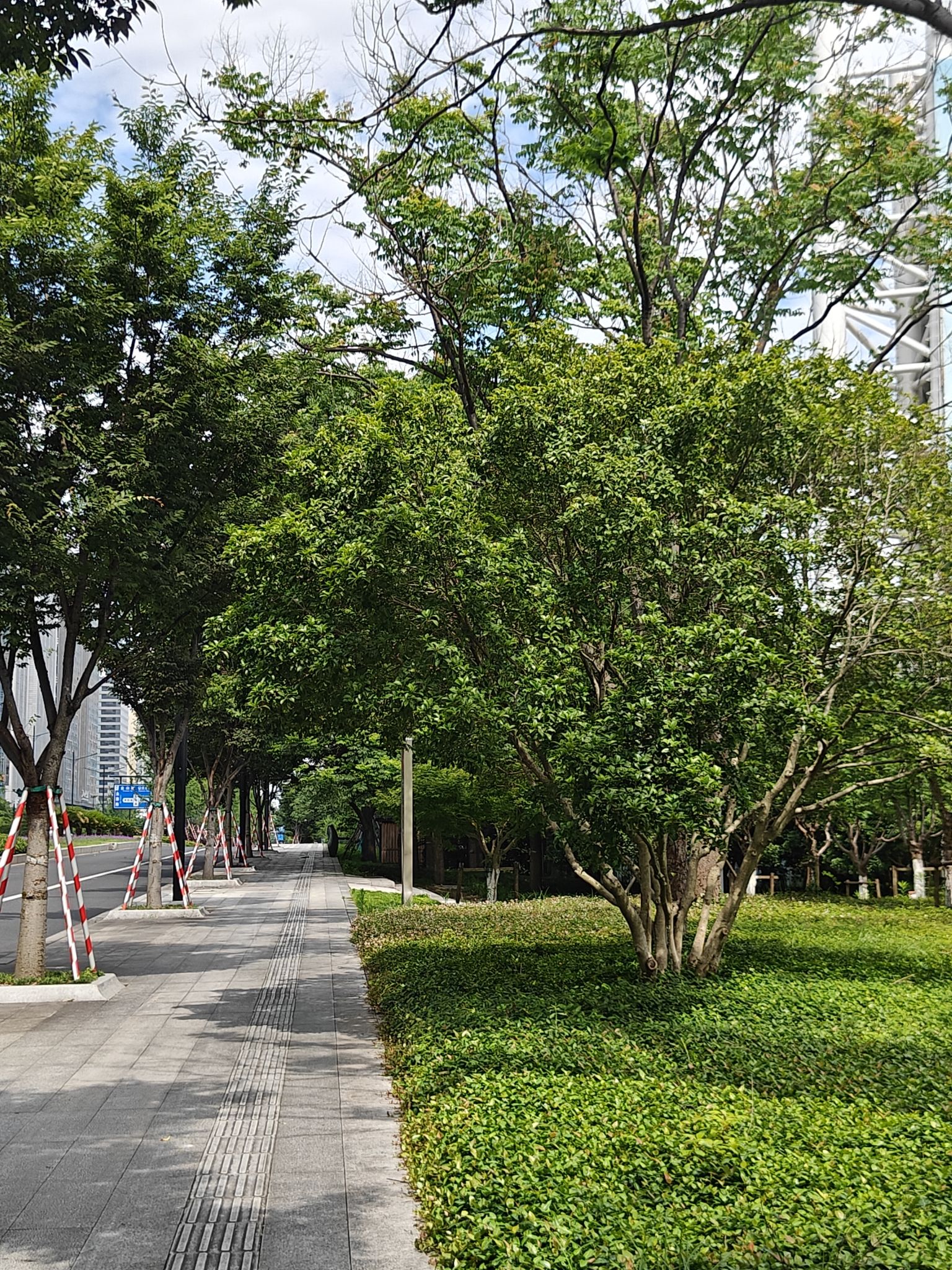 大鸟公园