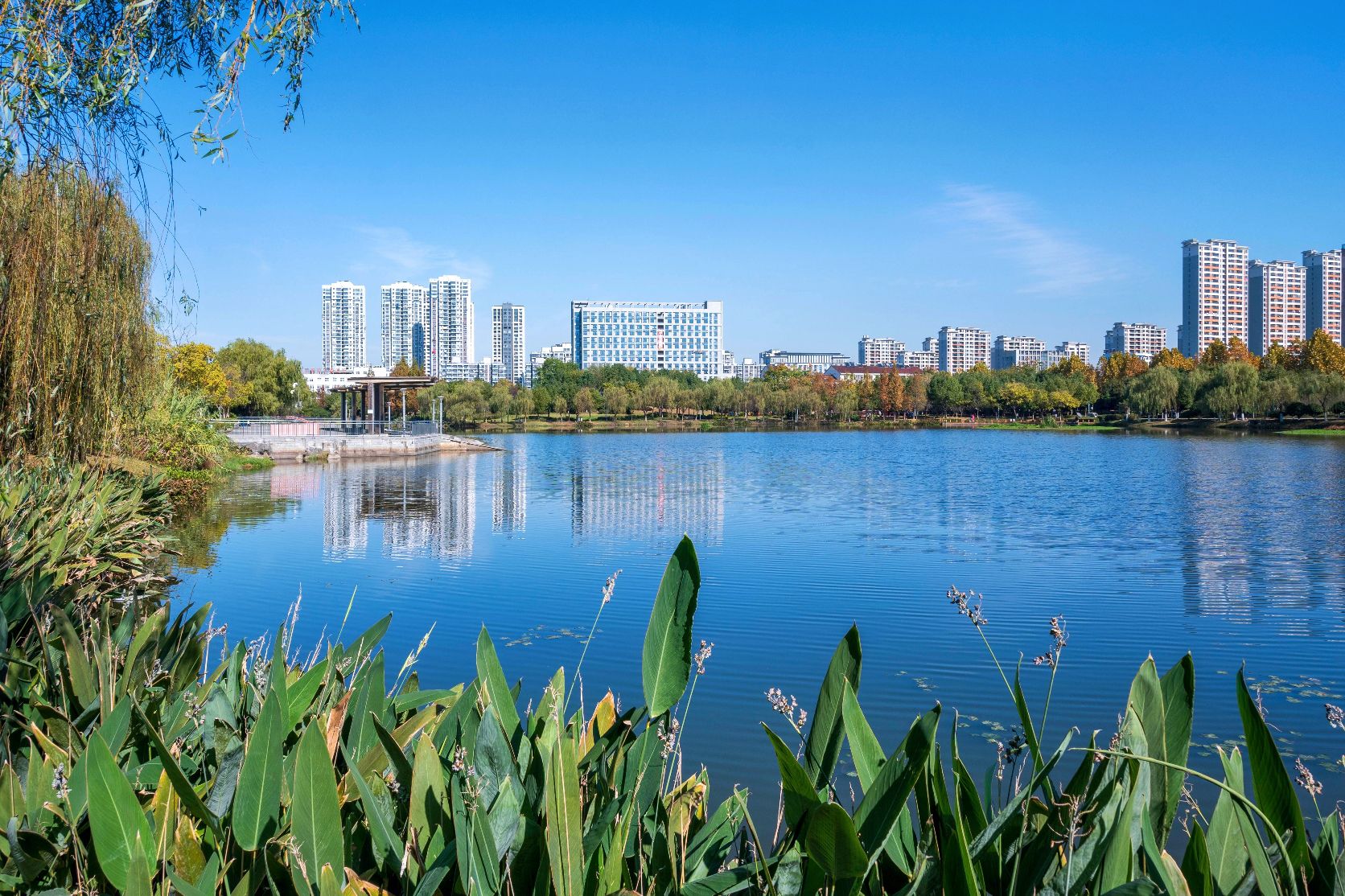 明镜湖公园旅行图片