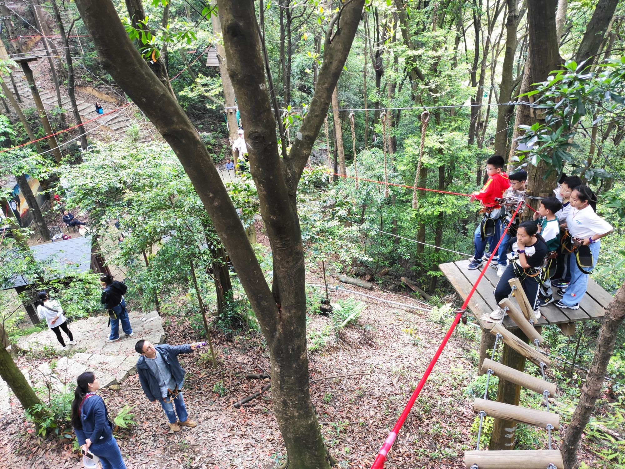 大荫山丛林飞越探险乐园旅行图片
