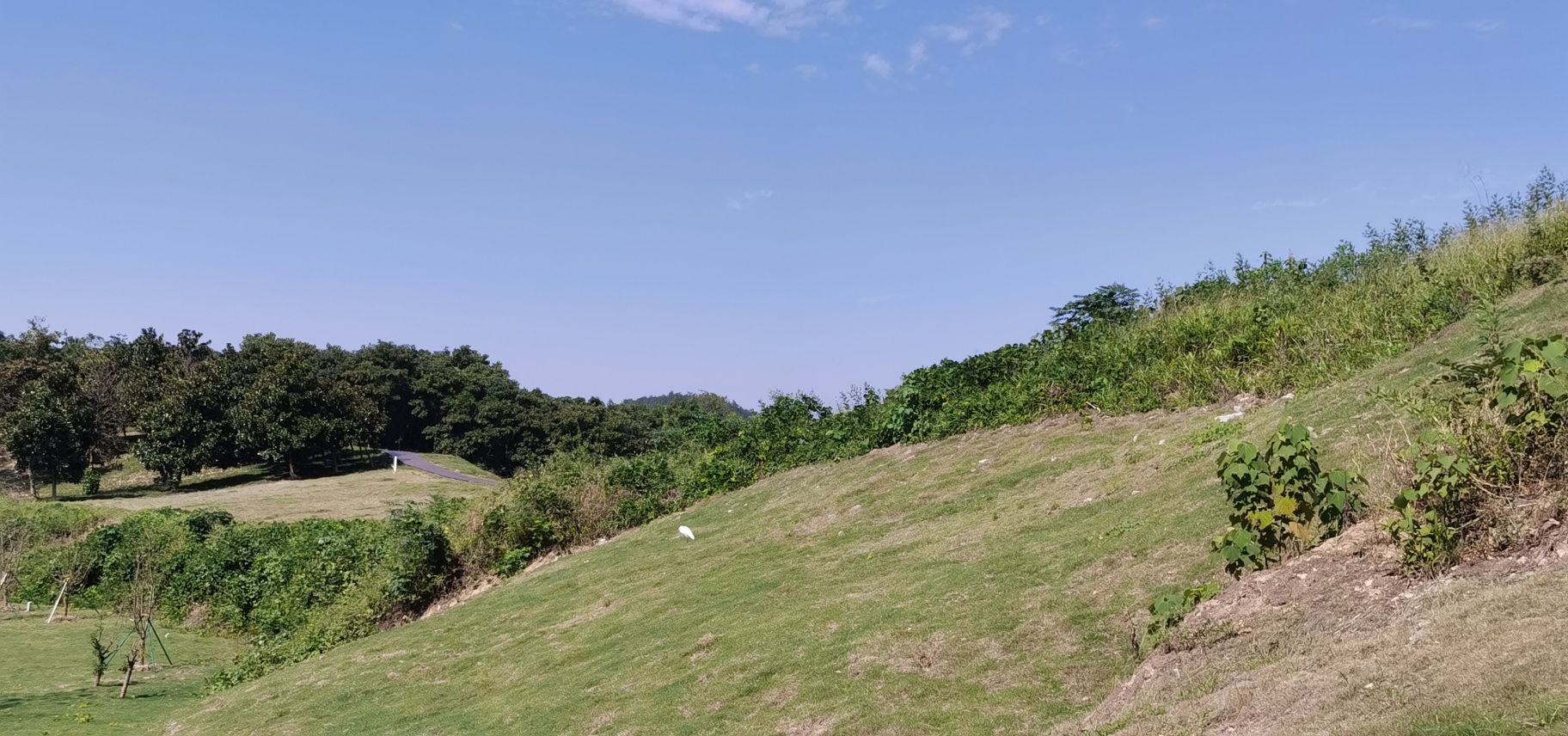 老虎岭遗址公园