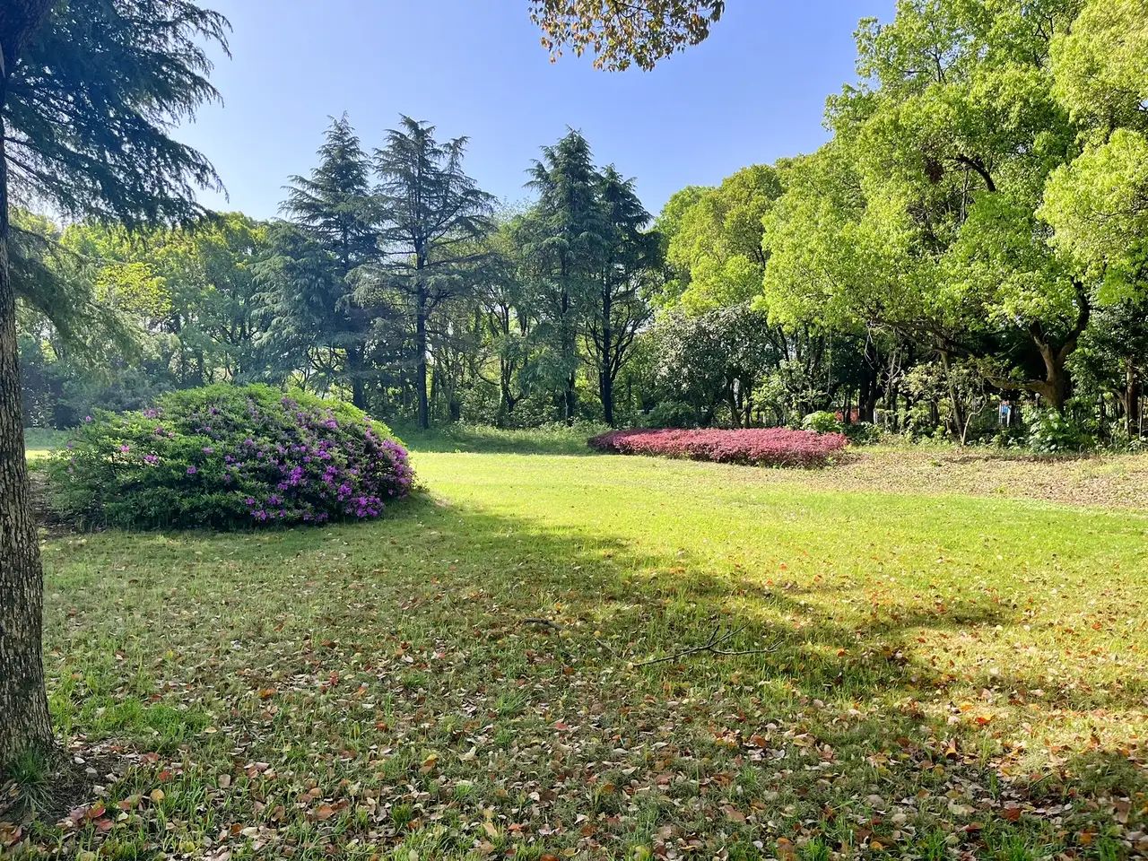 雁山湖国际花园度假区