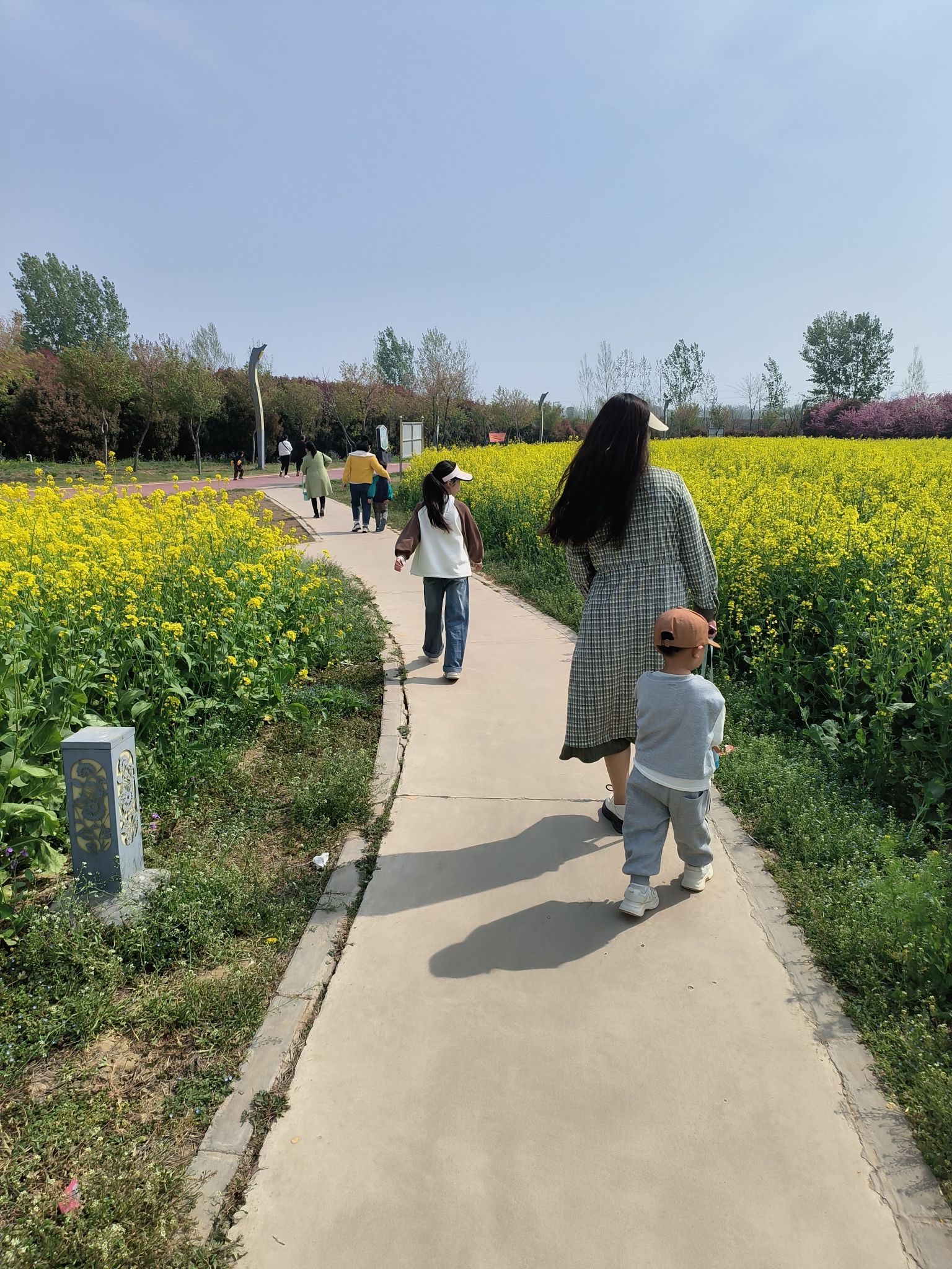 舞阳植物园