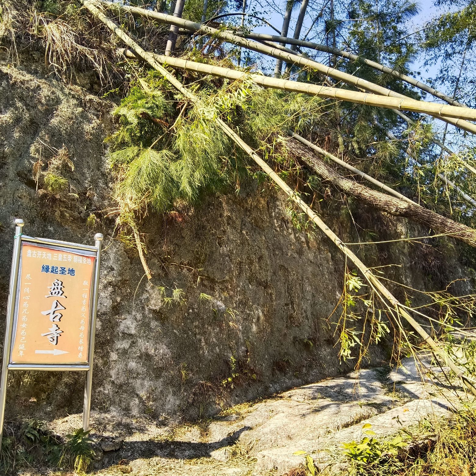 南山国家公园旅行图片