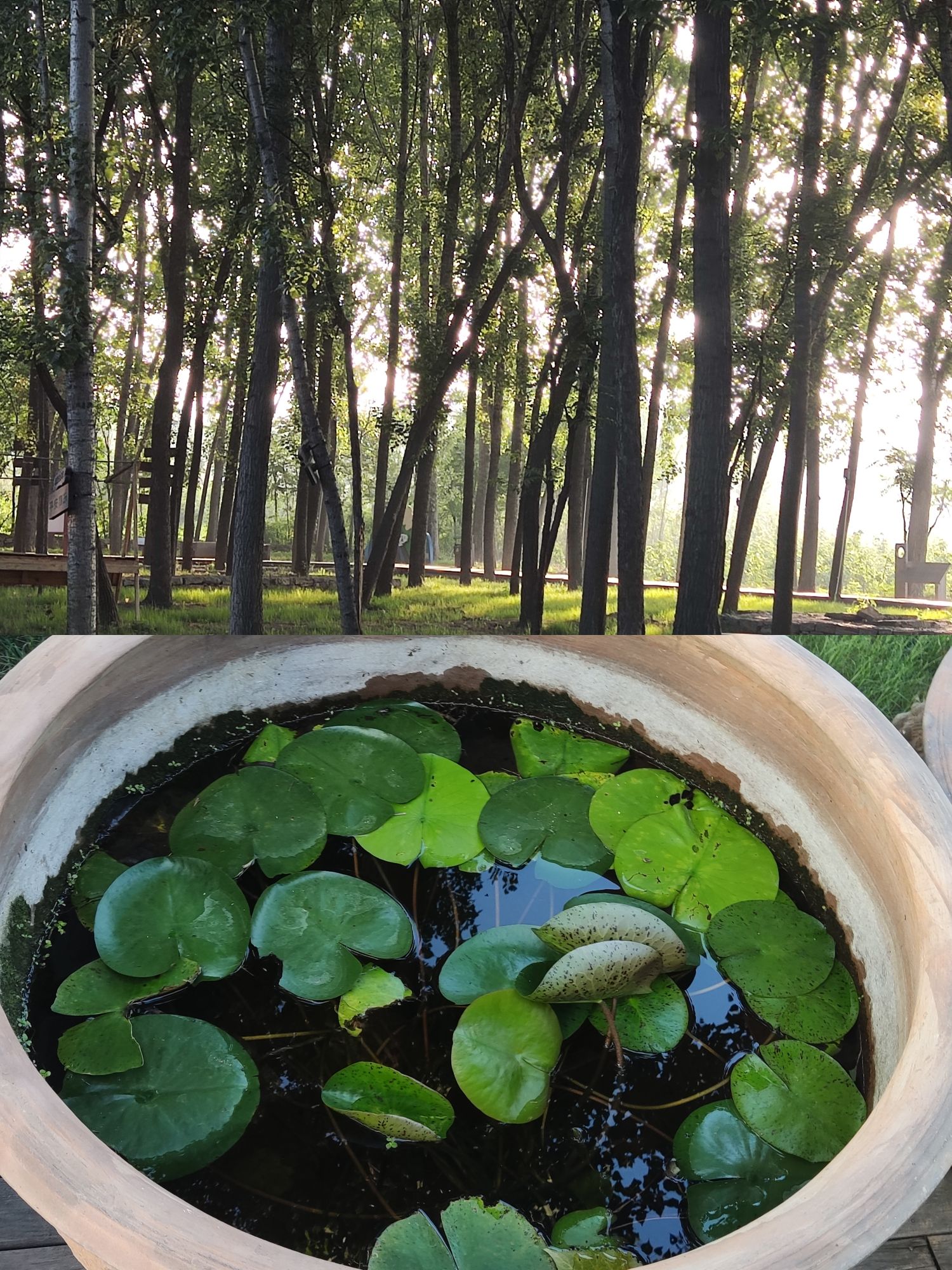 等闲谷艺术粮仓旅行图片