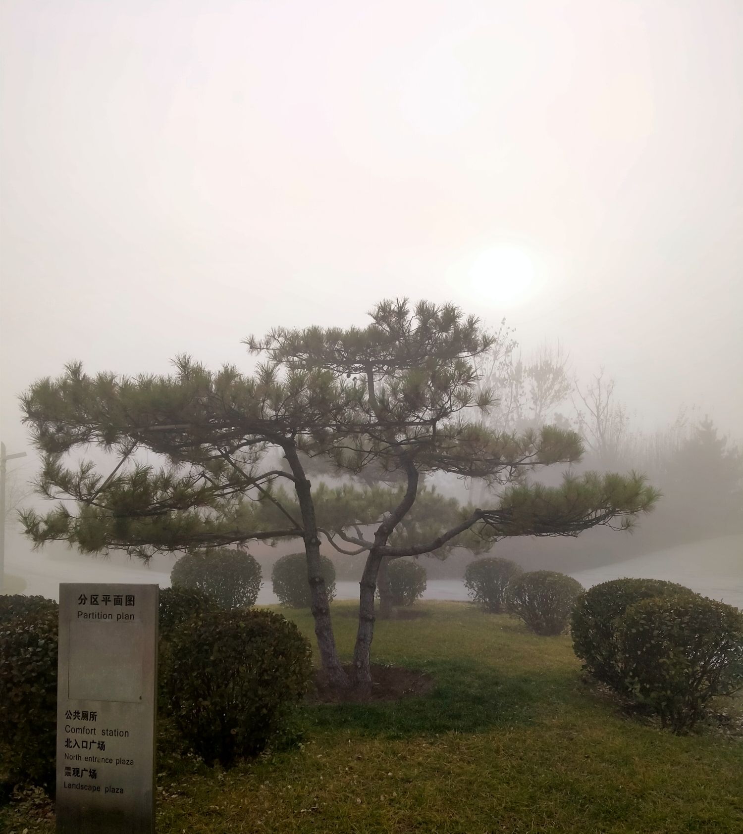 不锈钢产业园区绿地公园