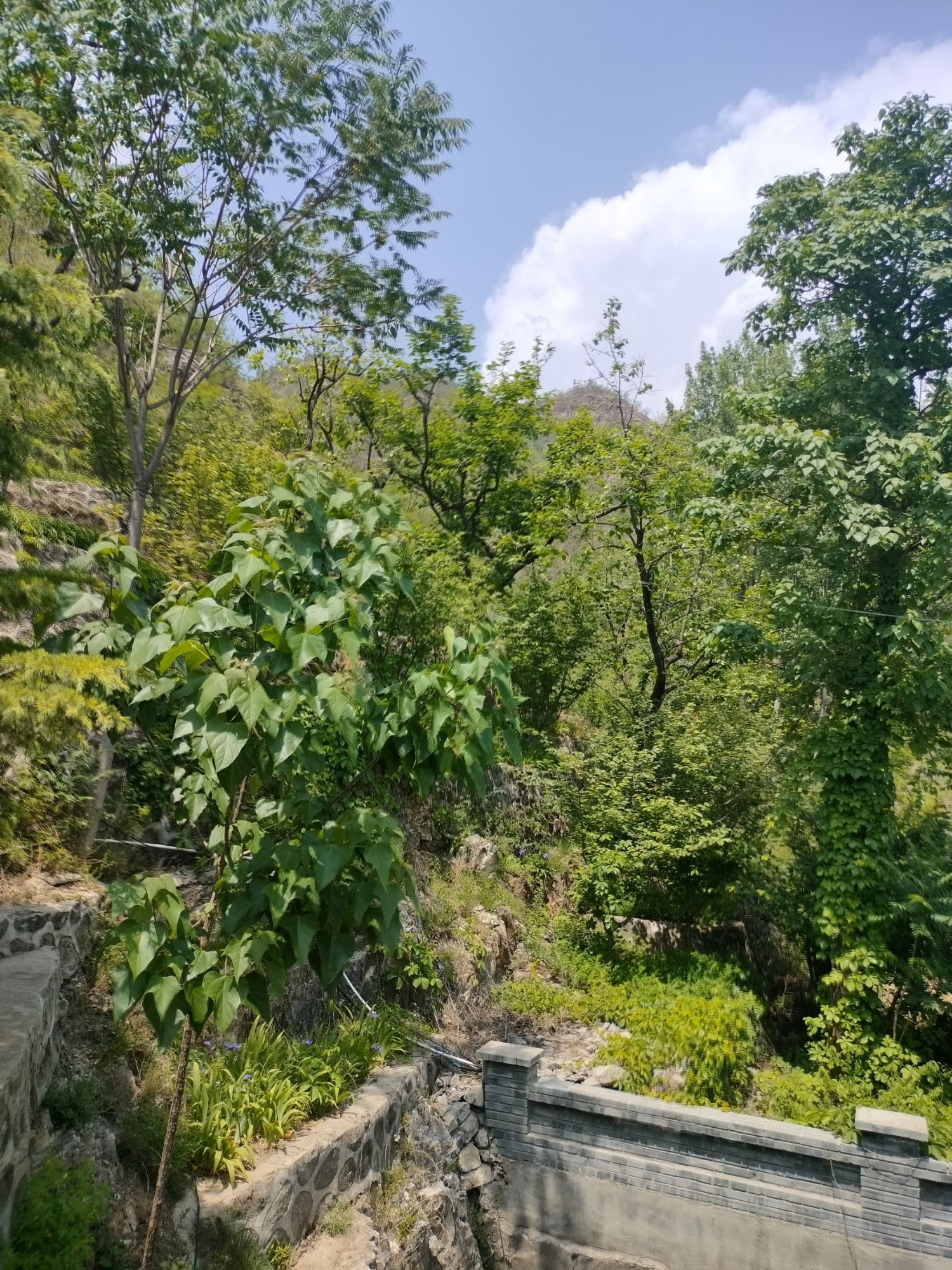 享水溪旅游度假区(暂停开放)旅行图片