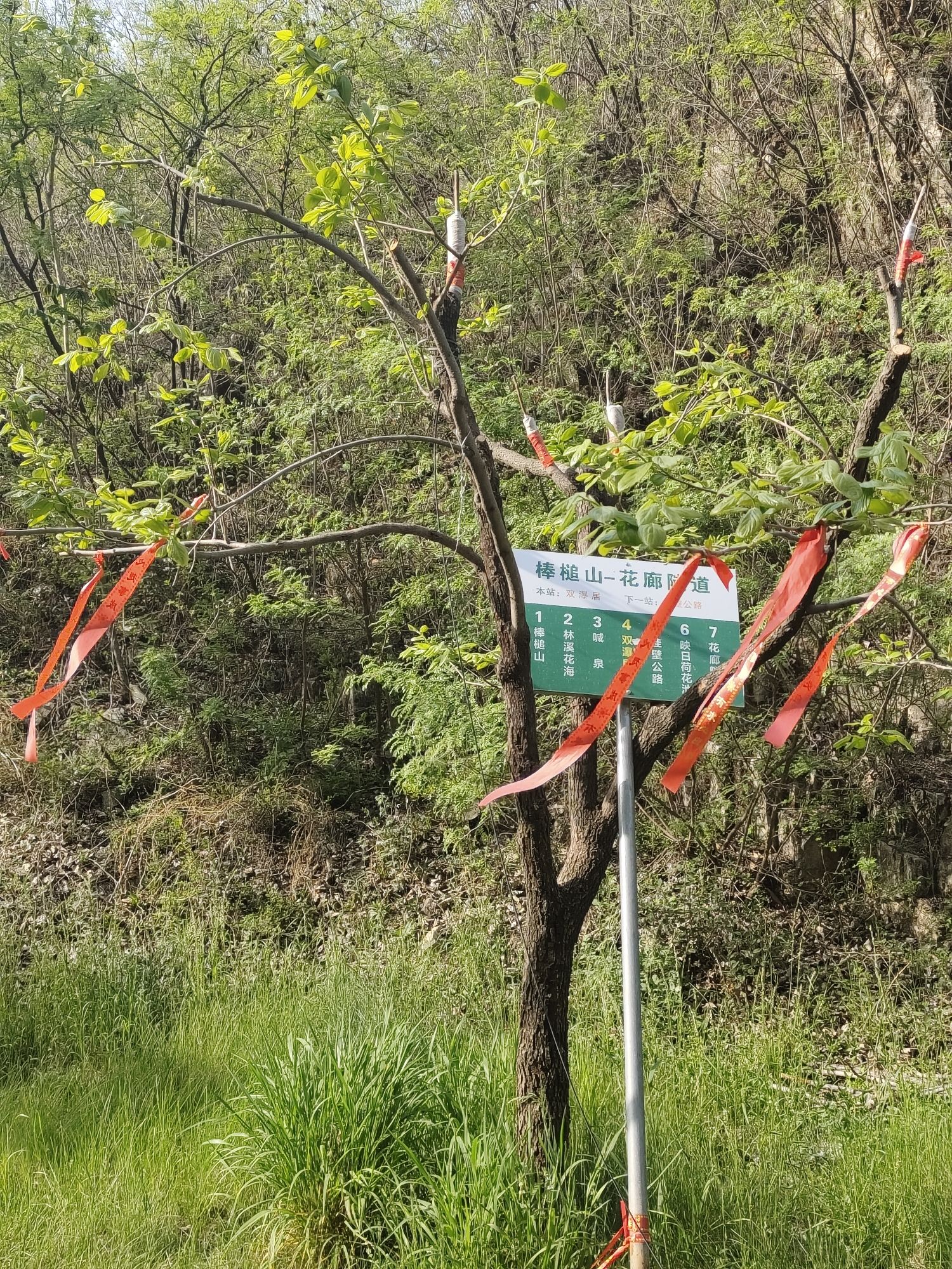 享水溪旅游度假区(暂停开放)旅行图片