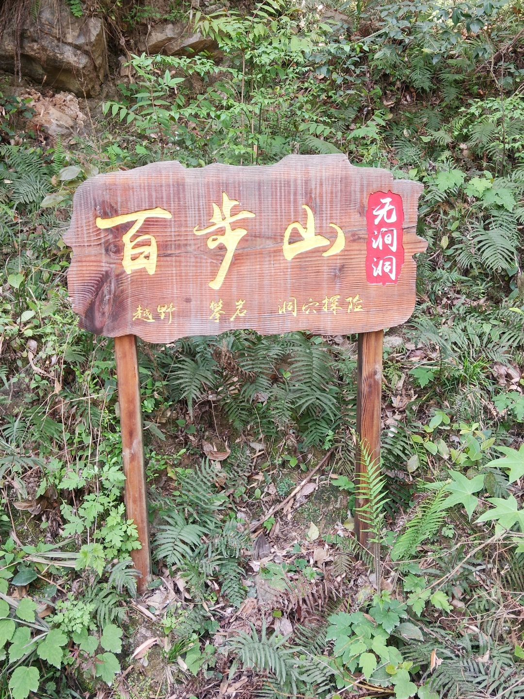 百步山
