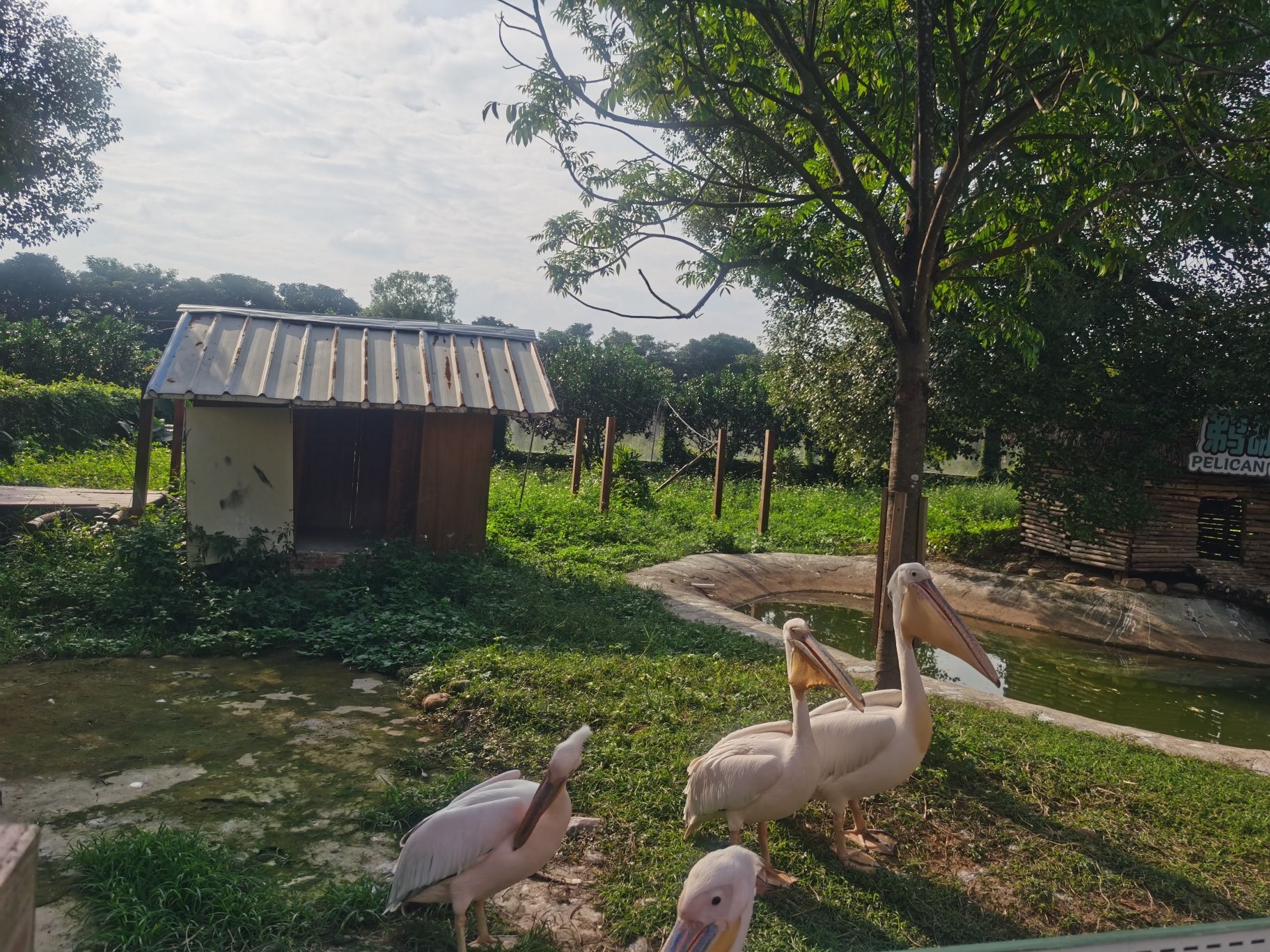 平南雄森动物大世界旅行图片