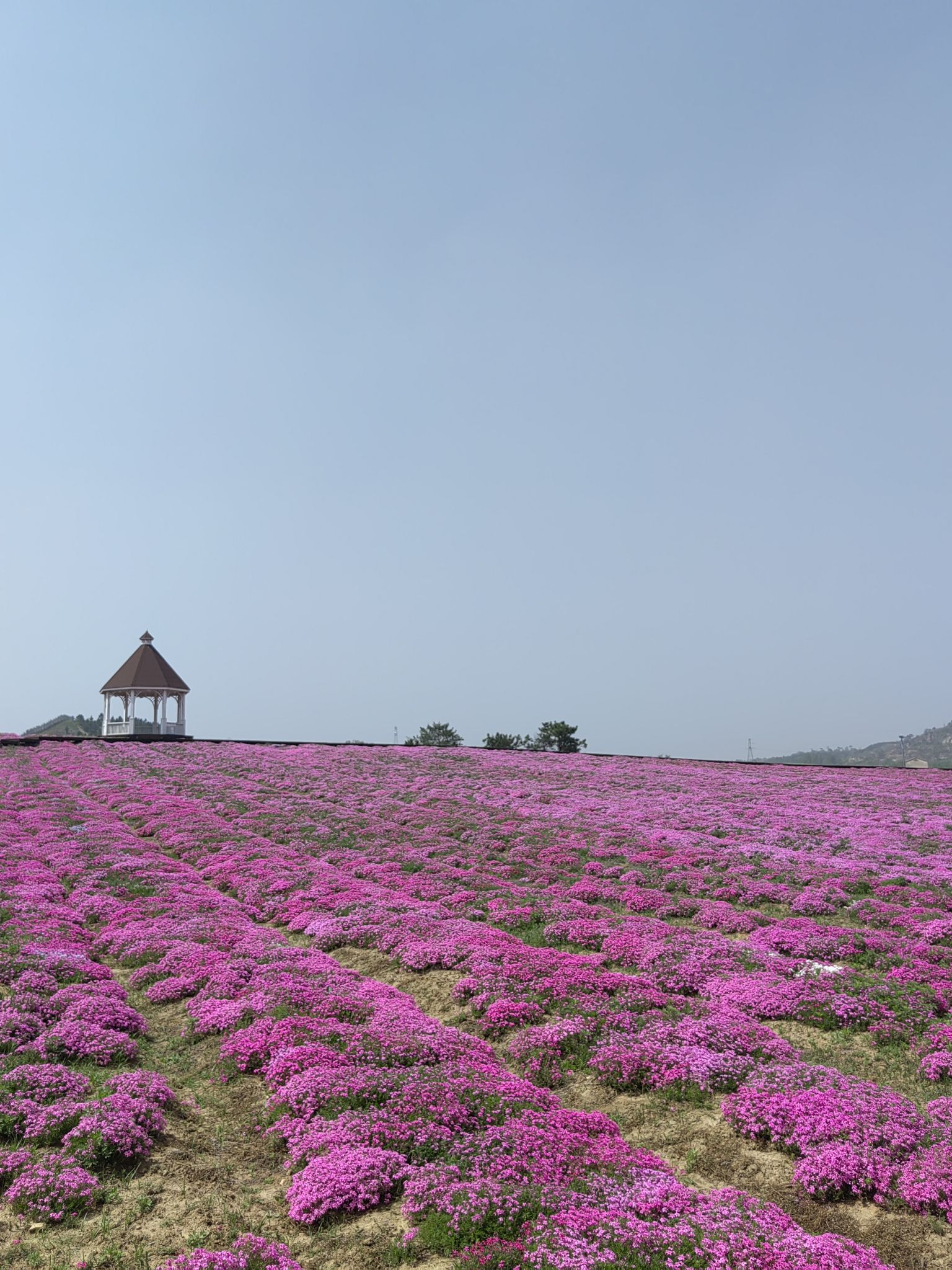 尖山湖逸趣园旅行图片