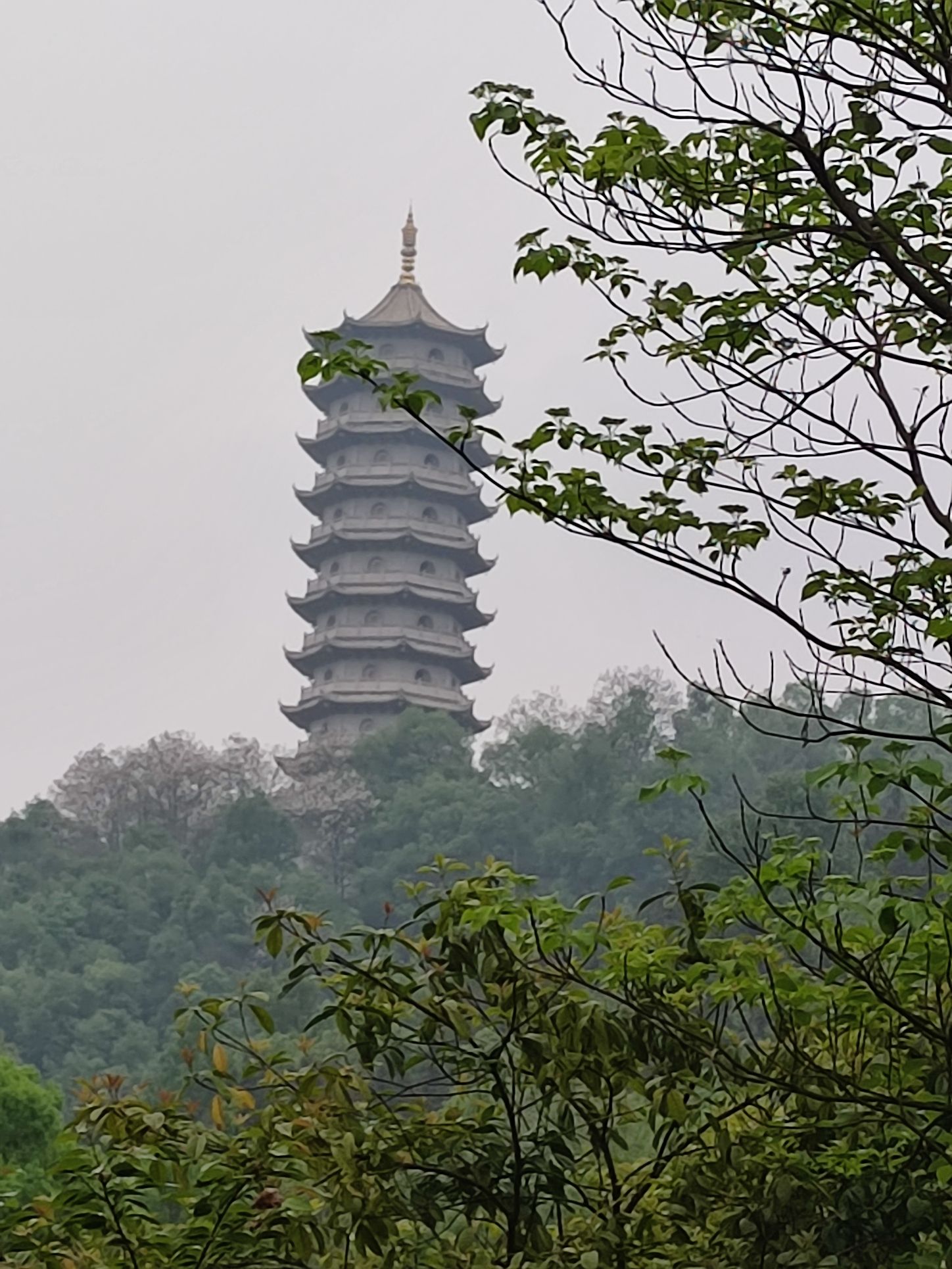 宜阳森林公园旅行图片