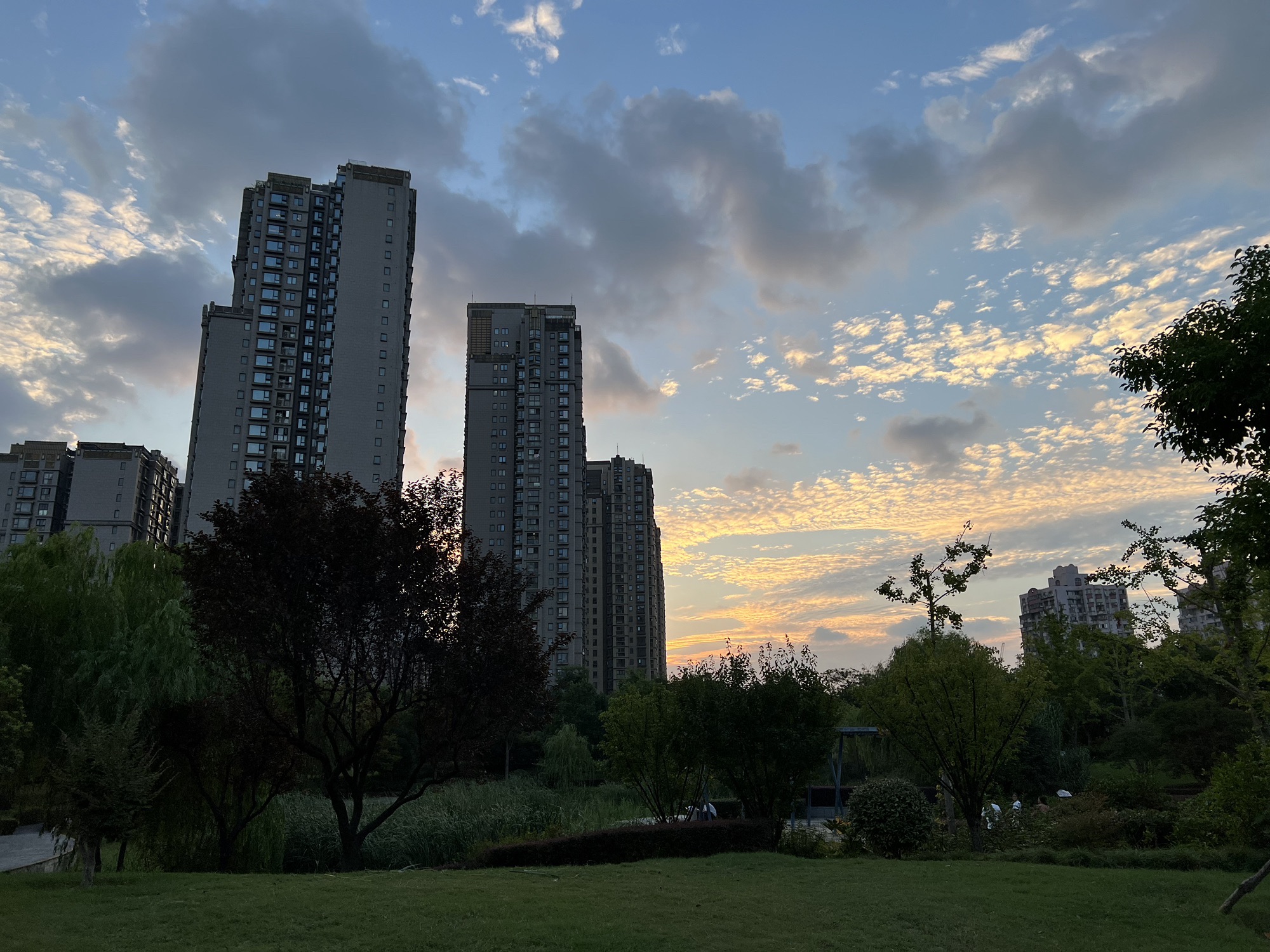 建民绿地公园旅行图片