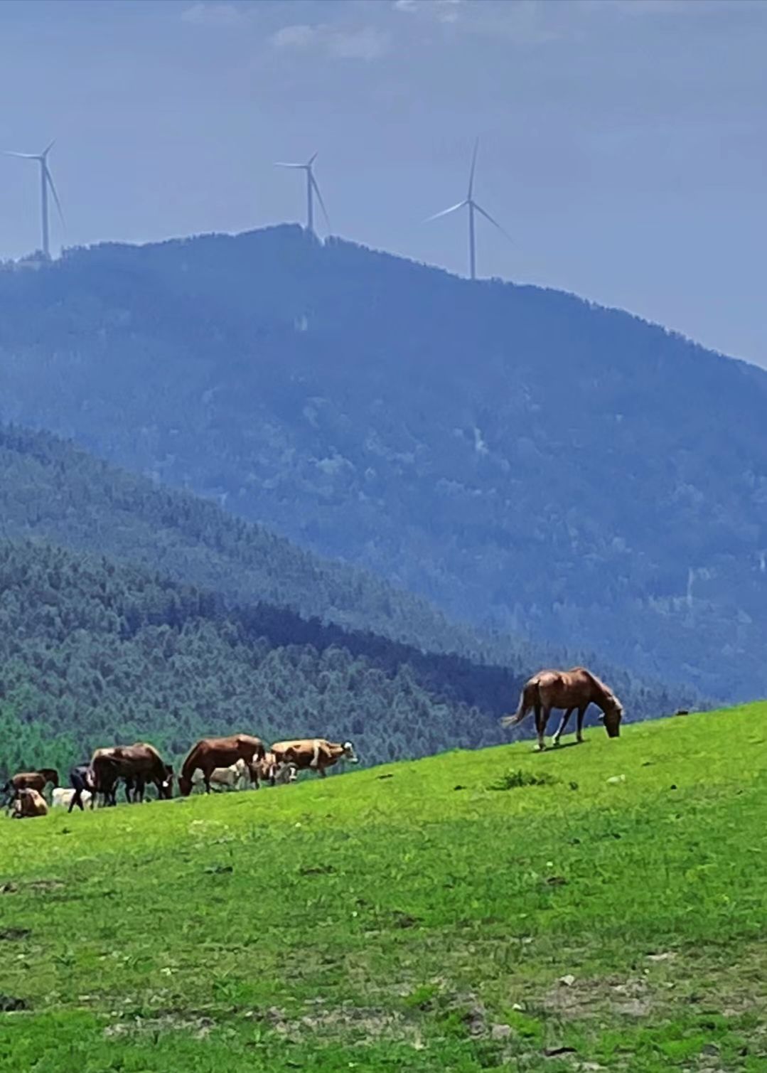 云顶紫台休闲避暑山庄