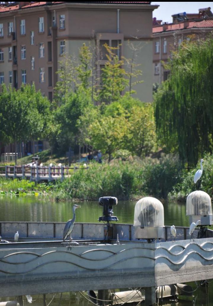 玉龙湖湿地公园