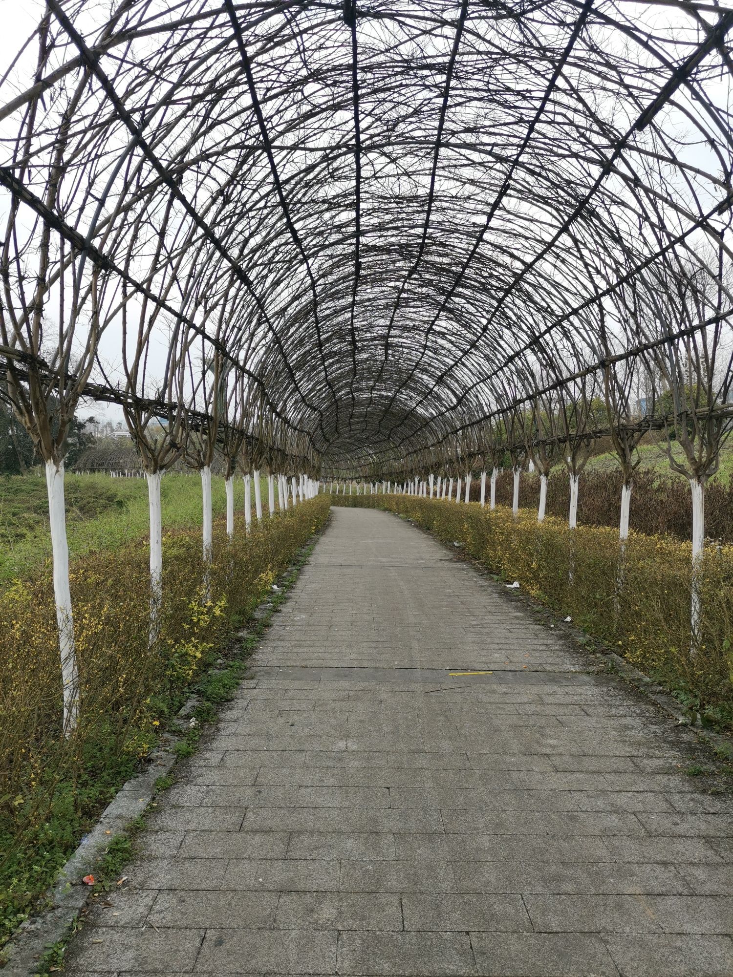 百草园景区旅行图片