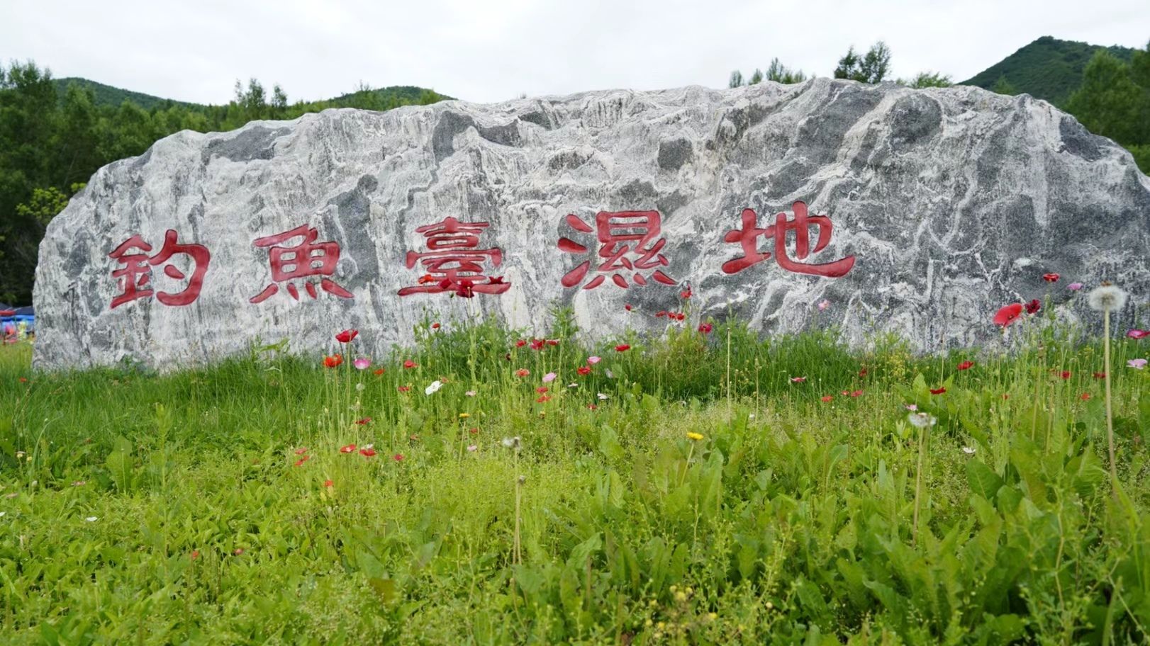 钓鱼台湿地公园旅行图片