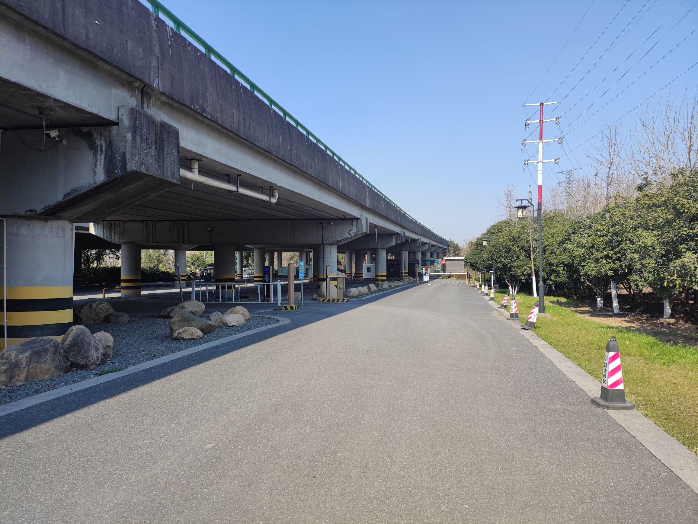 湘家荡森林公园