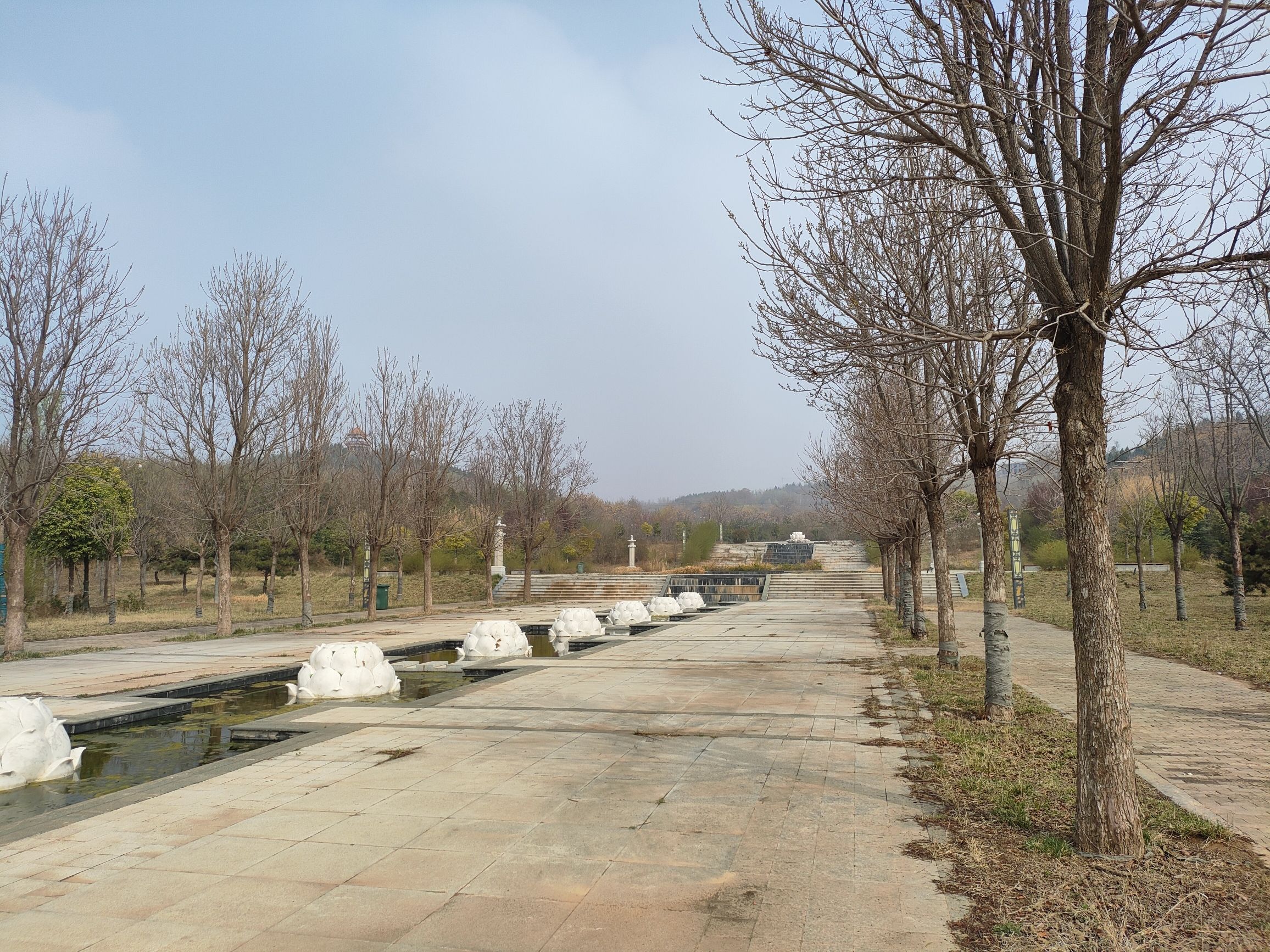 万佛山森林公园旅行图片