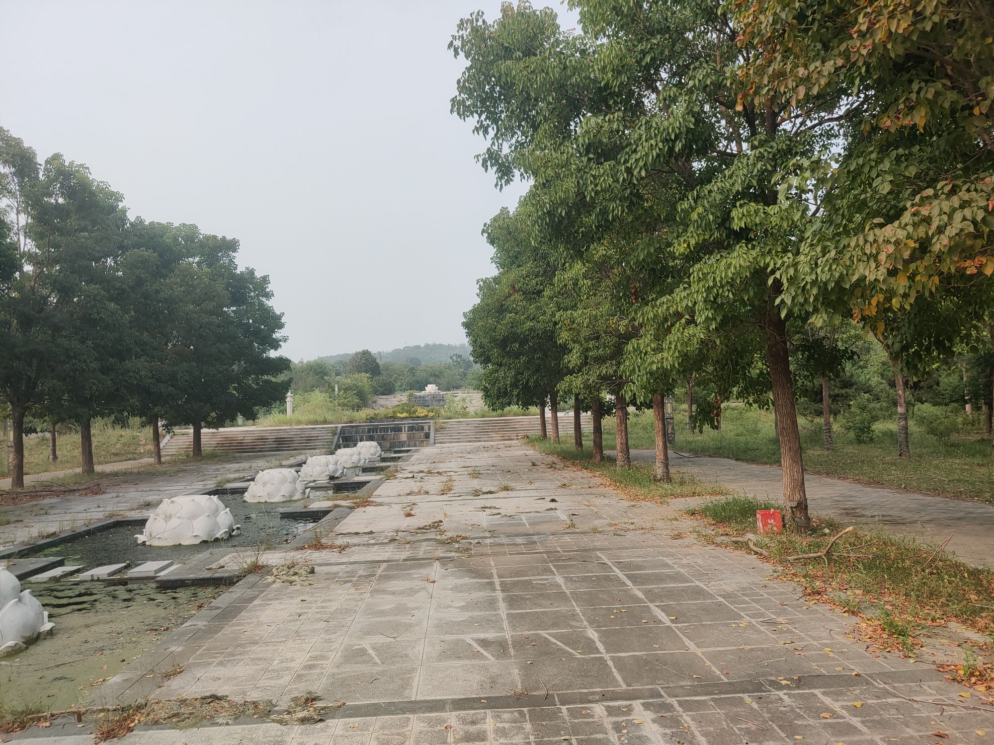 万佛山森林公园旅行图片