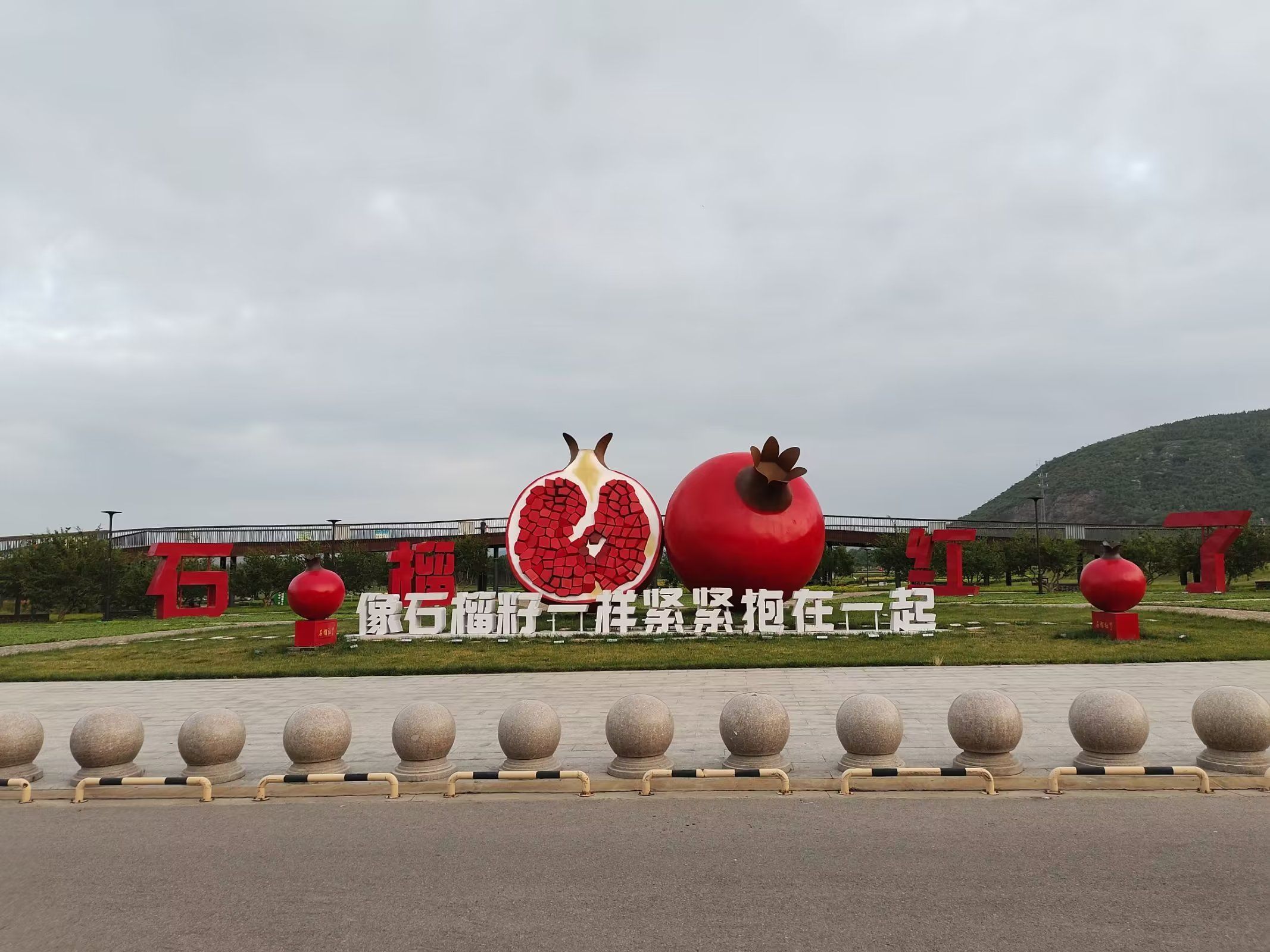石榴红了主题园旅行图片
