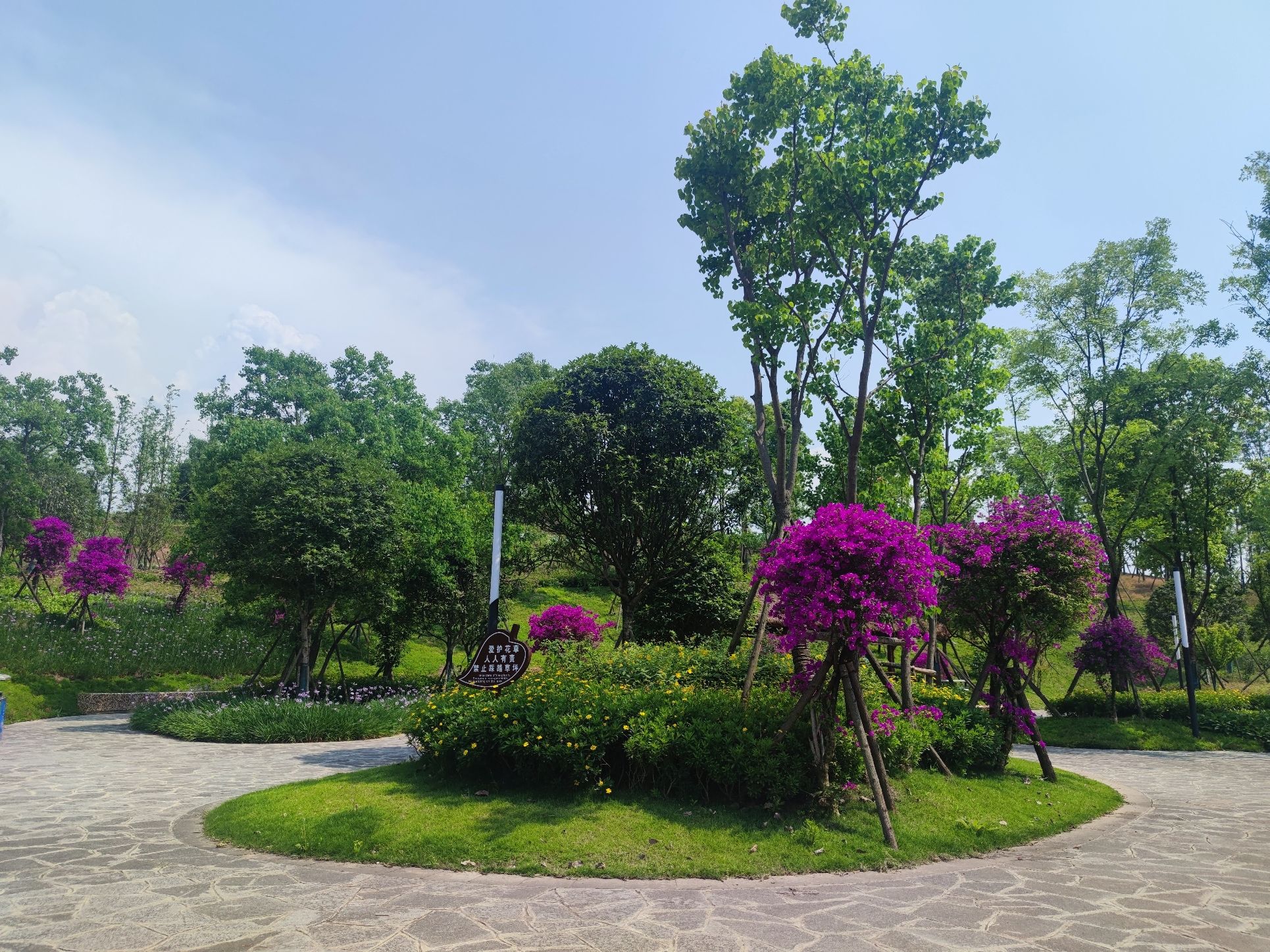 严家河湿地公园