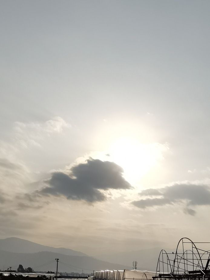 白水沟竹华园