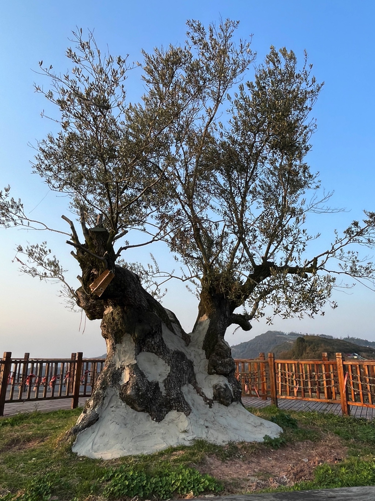 金堂县龚家山观景台