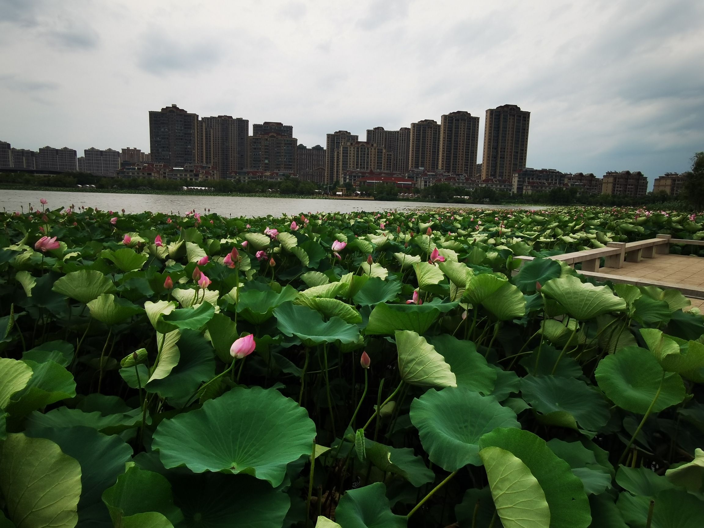 香榭湖景区