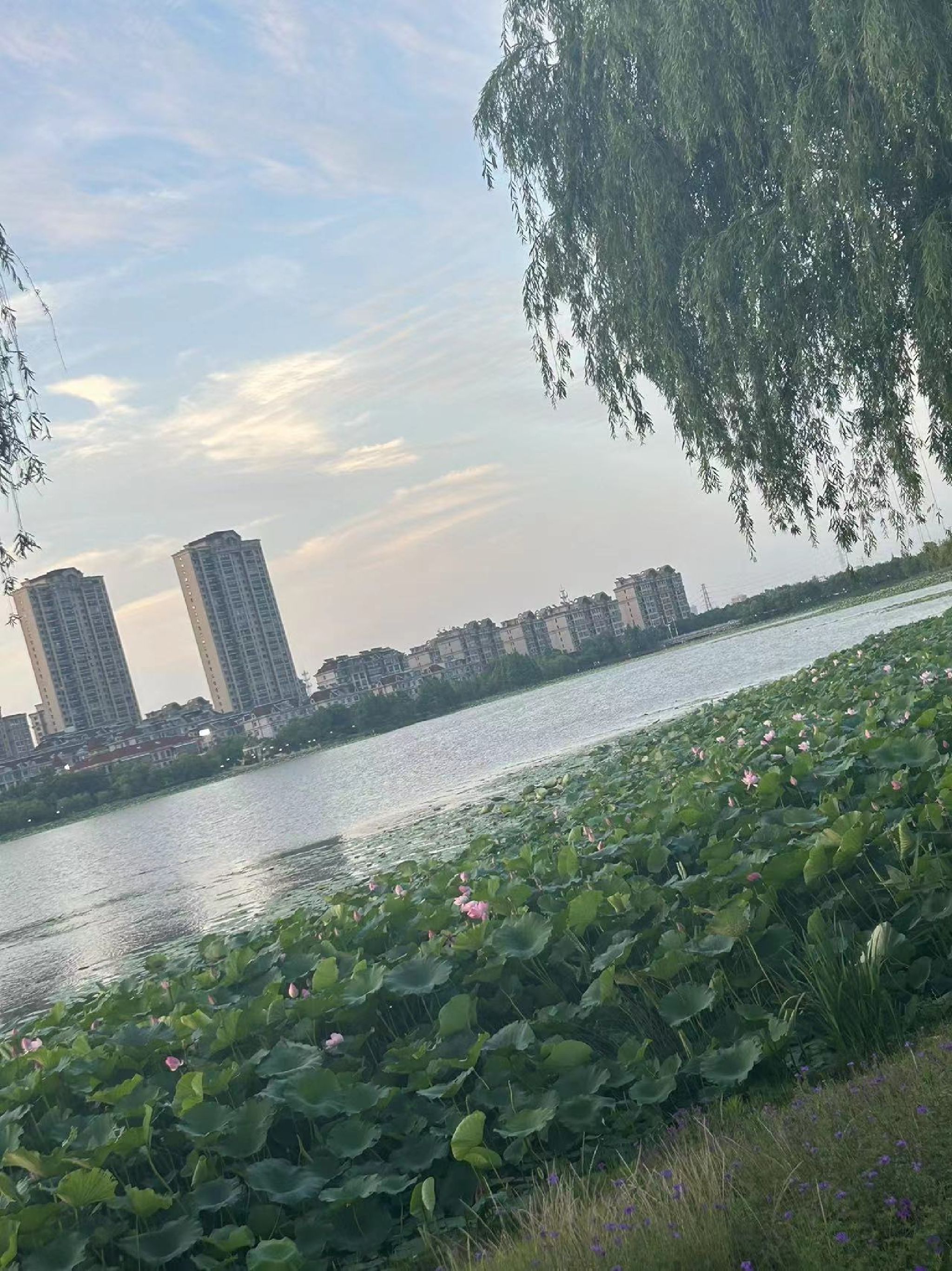 香榭湖景区旅行图片