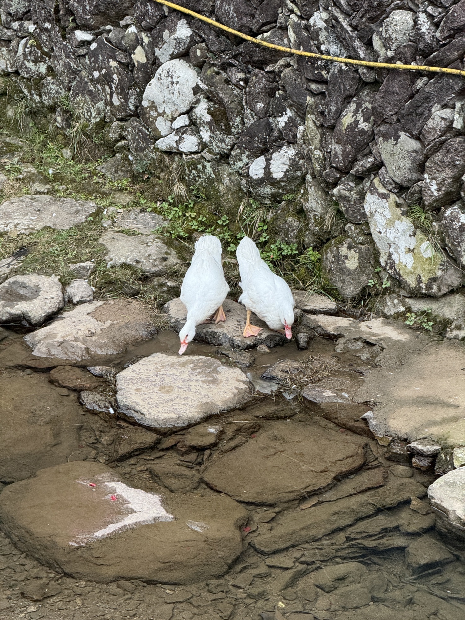 黄檀硐景区