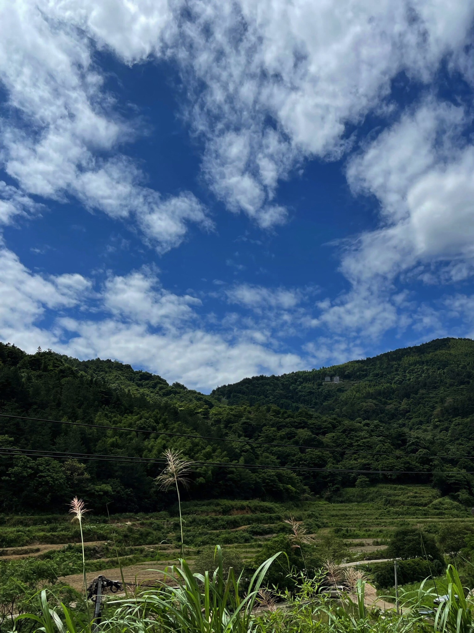 铜源峡风景区旅行图片