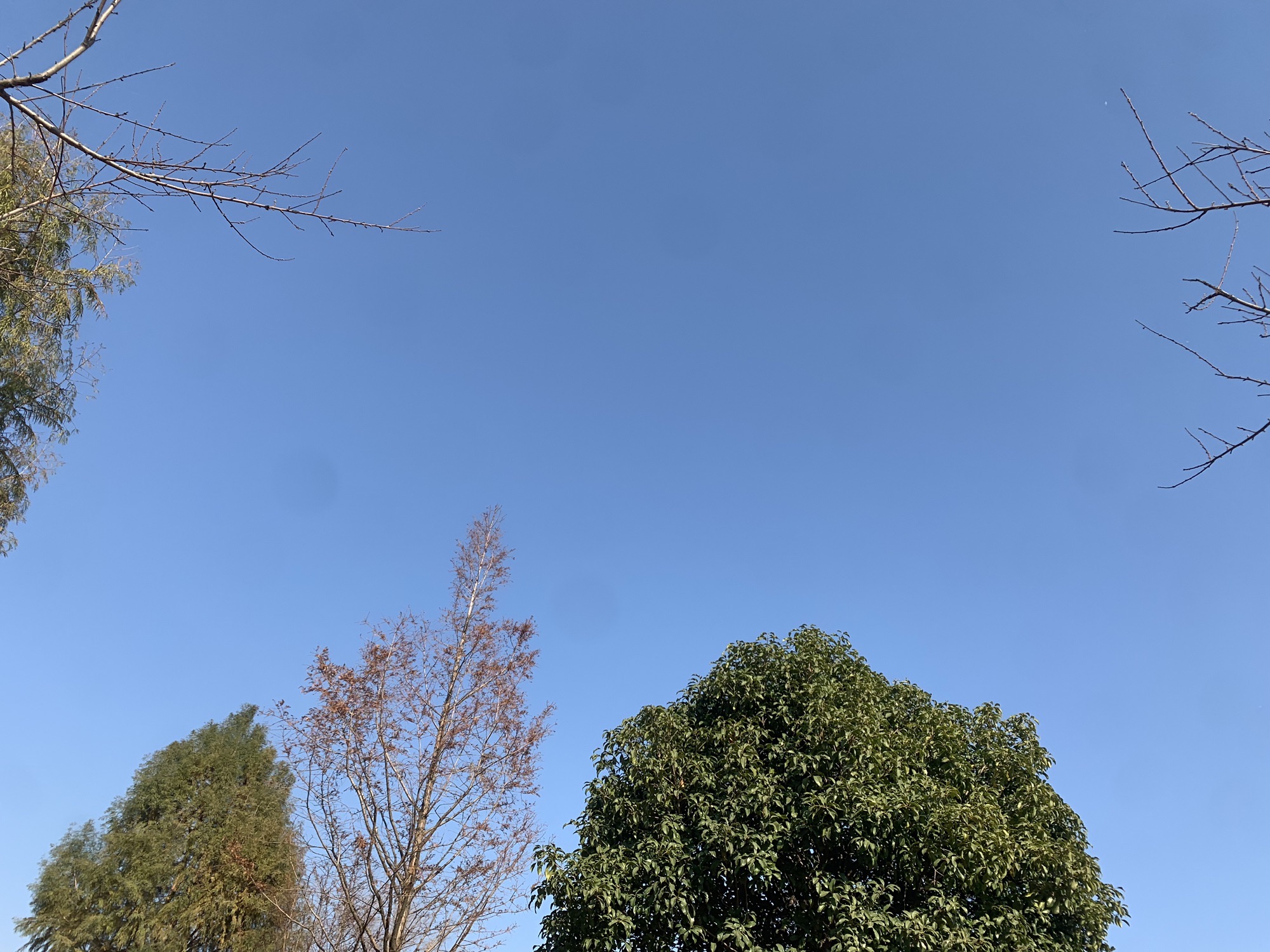 墨水湖边运动公园旅行图片