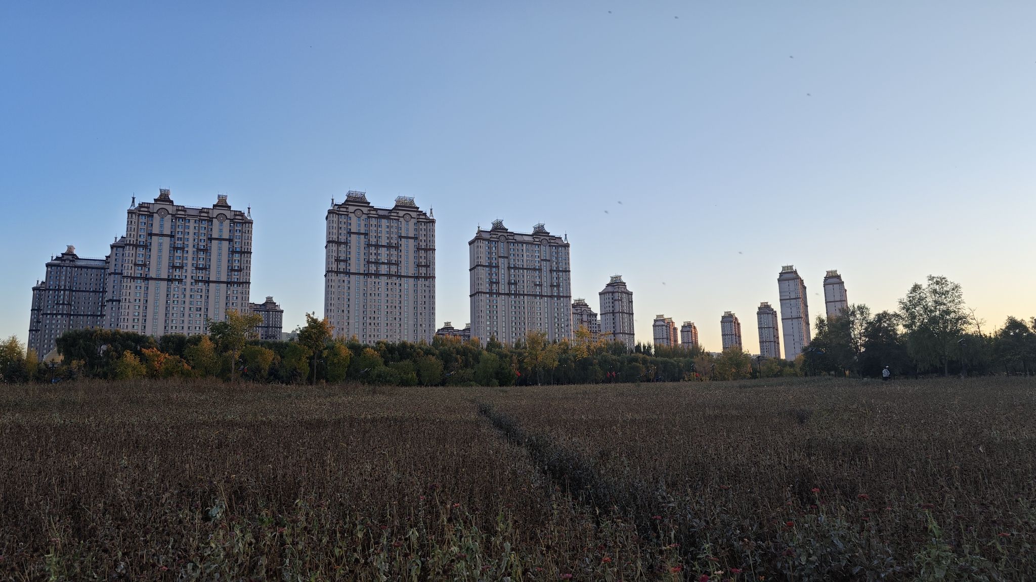 群力外滩生态湿地