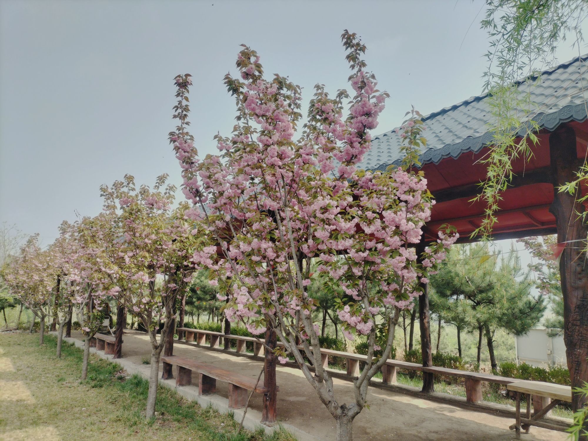 莱芜彩石溪景区旅行图片