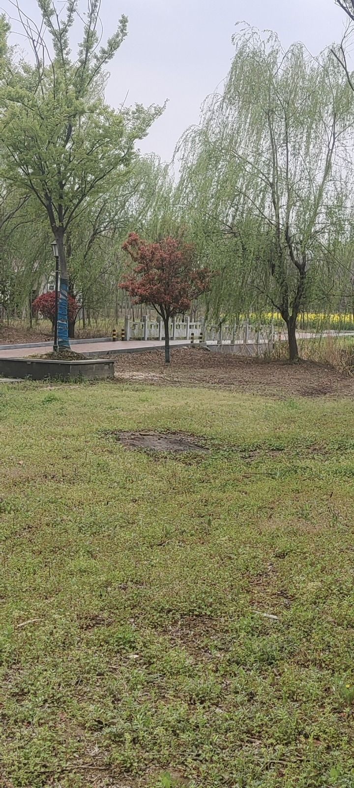 益林森林公园