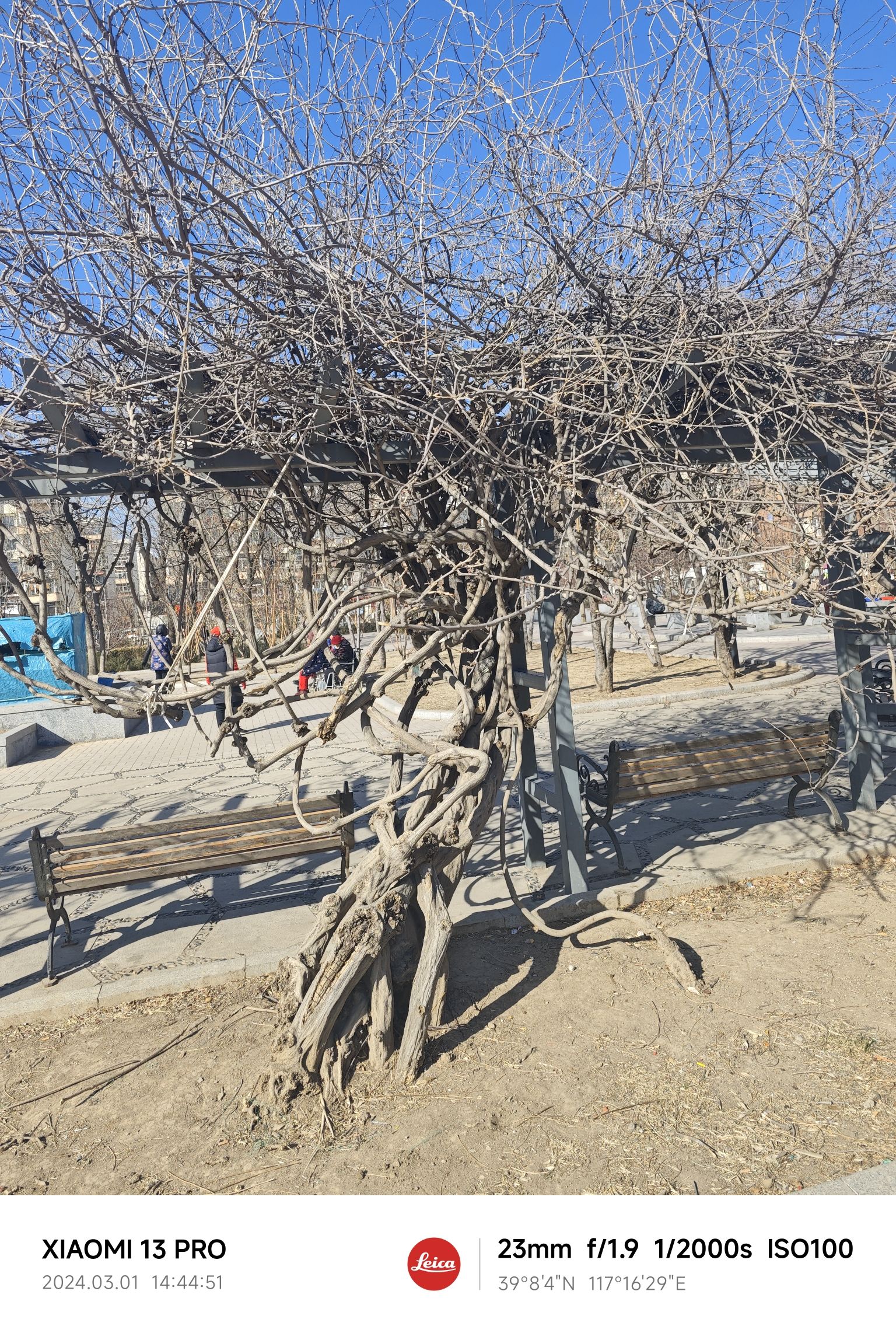 海棠健康公园