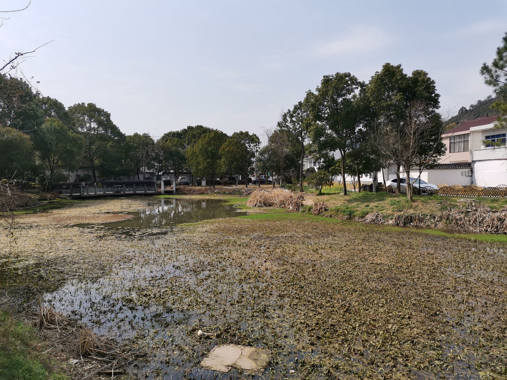 鞍山湿地公园