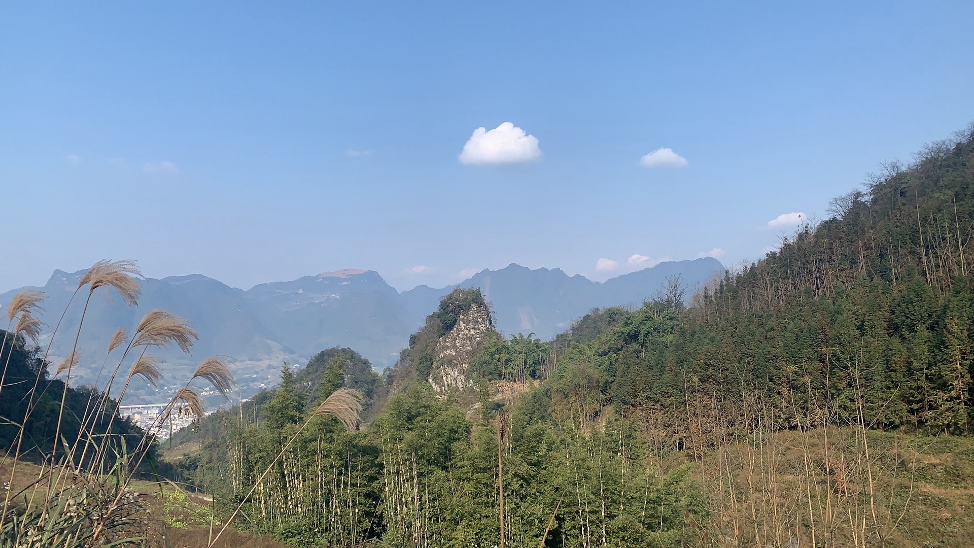 观宝山森林公园
