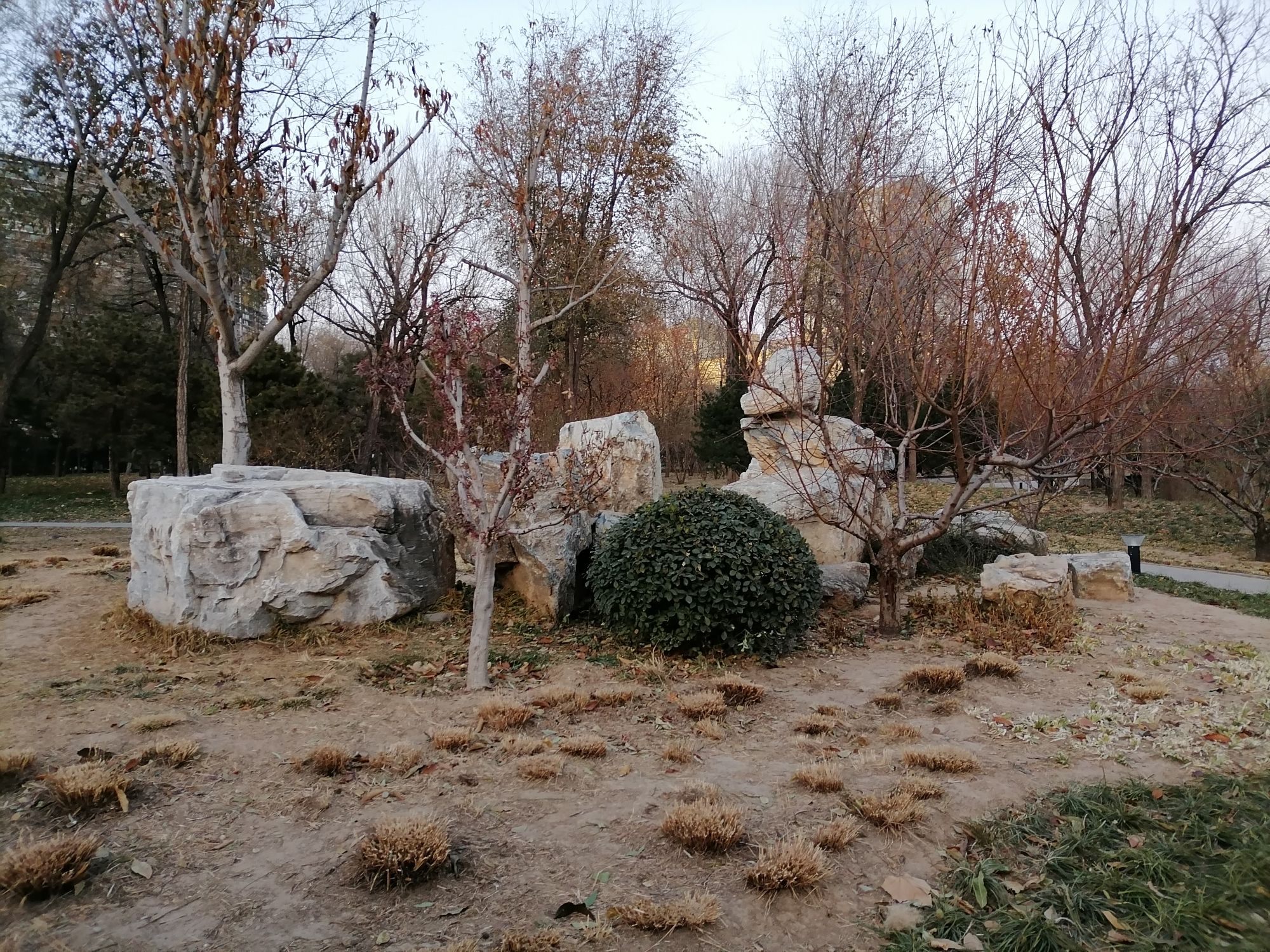 百子湾公园
