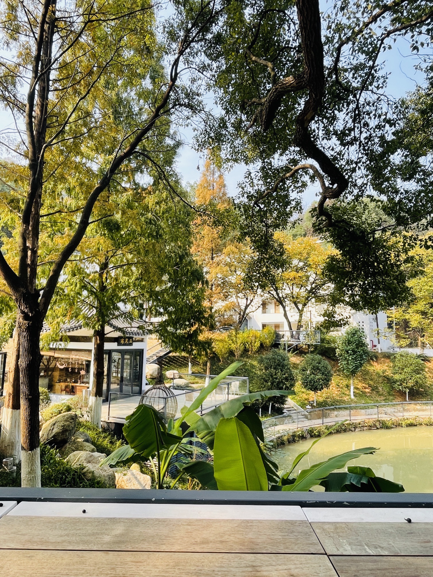 雨母山风景区旅行图片