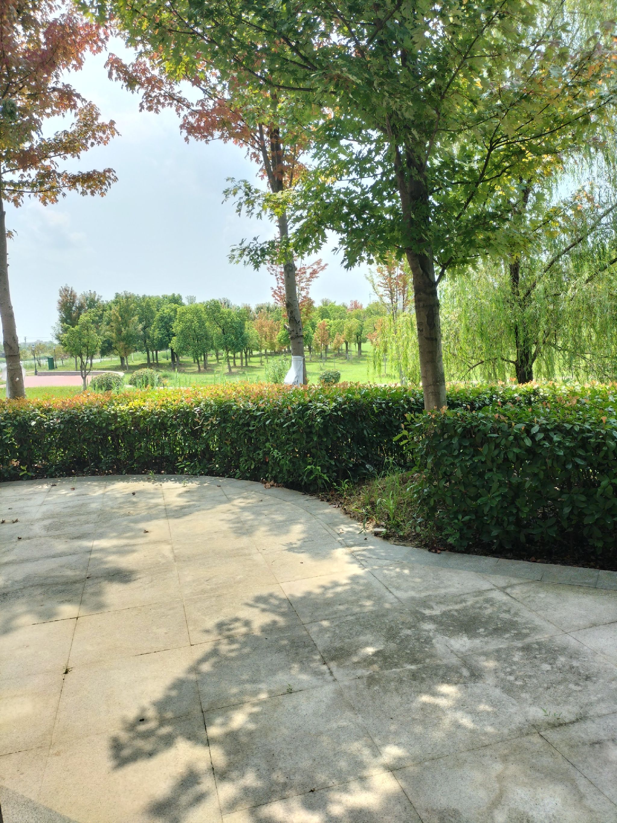 未来城市公园