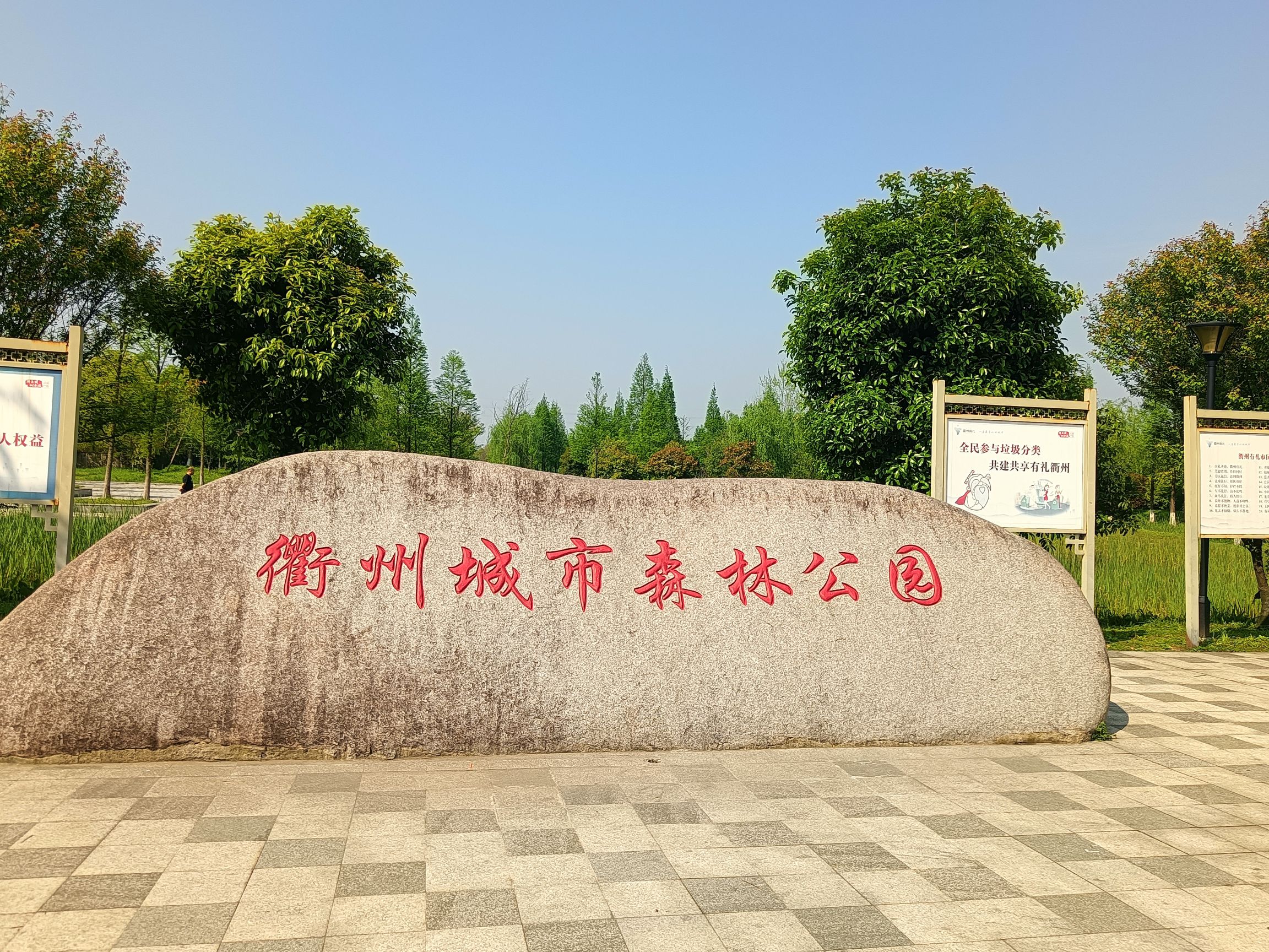 衢州城市森林公园旅行图片