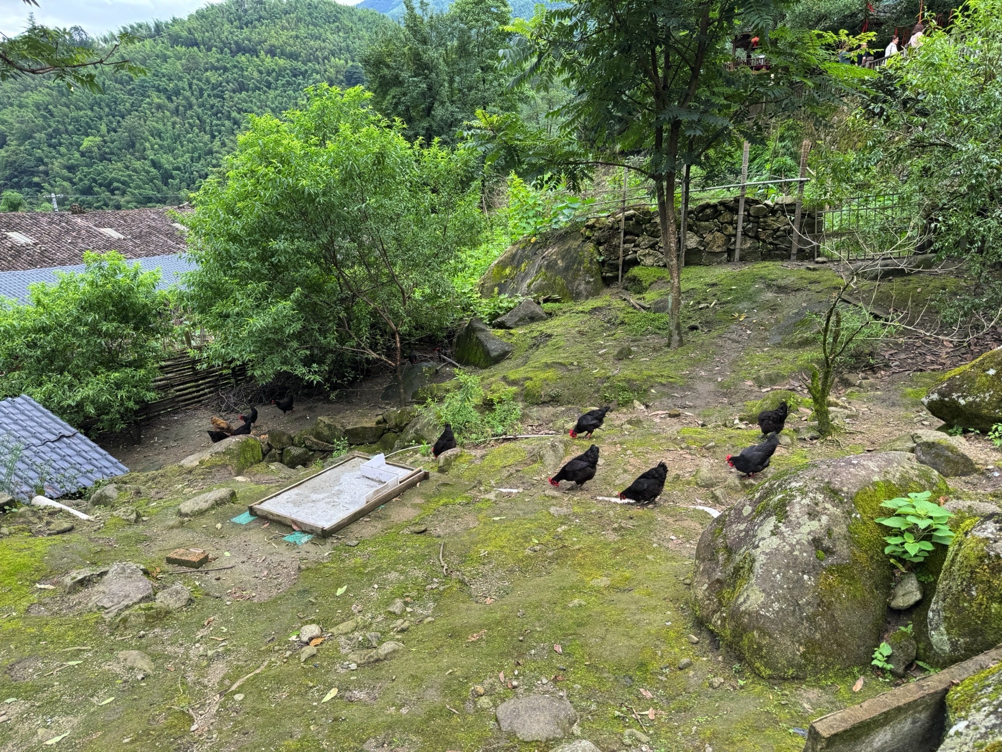 南惹古村